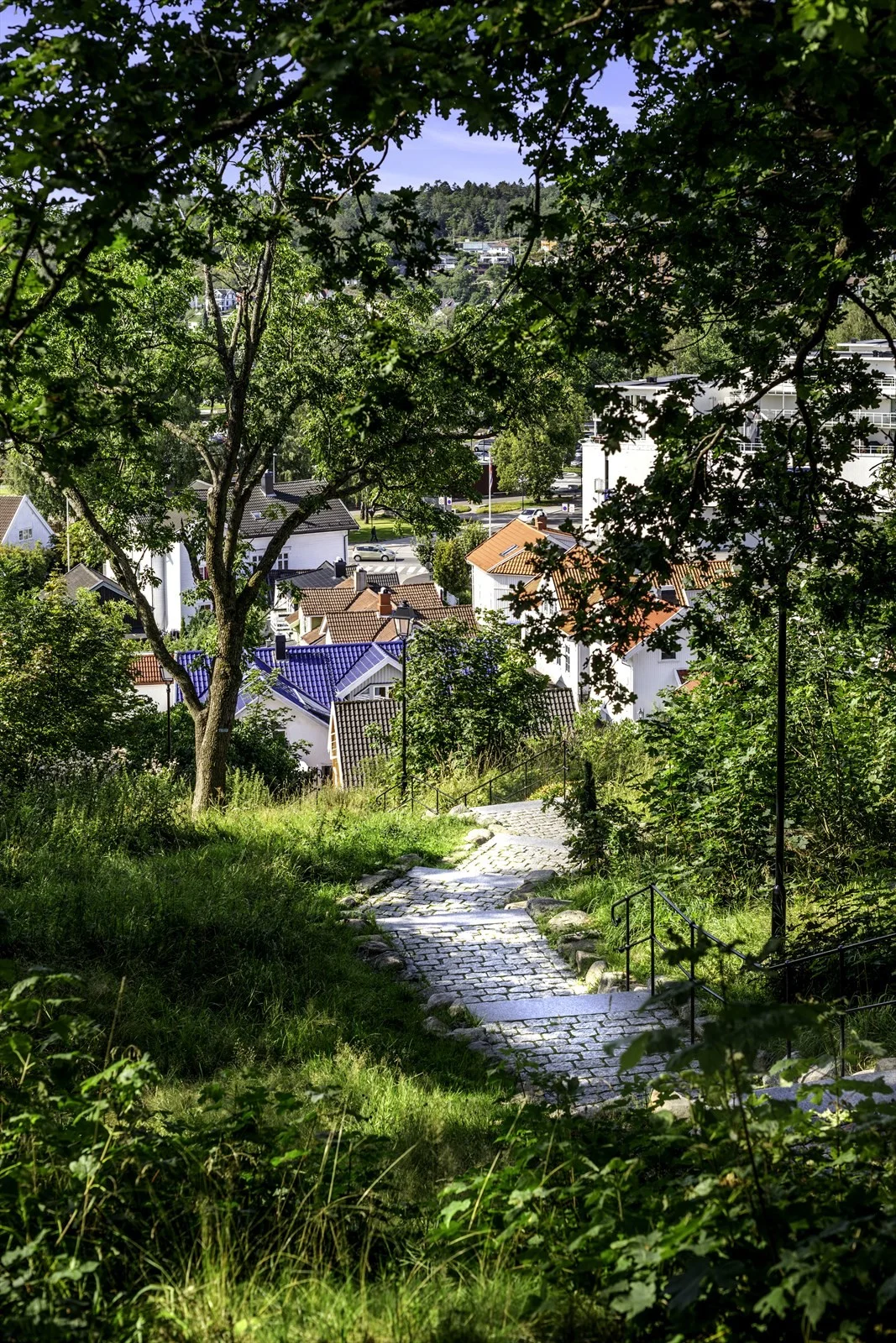 Photo 45