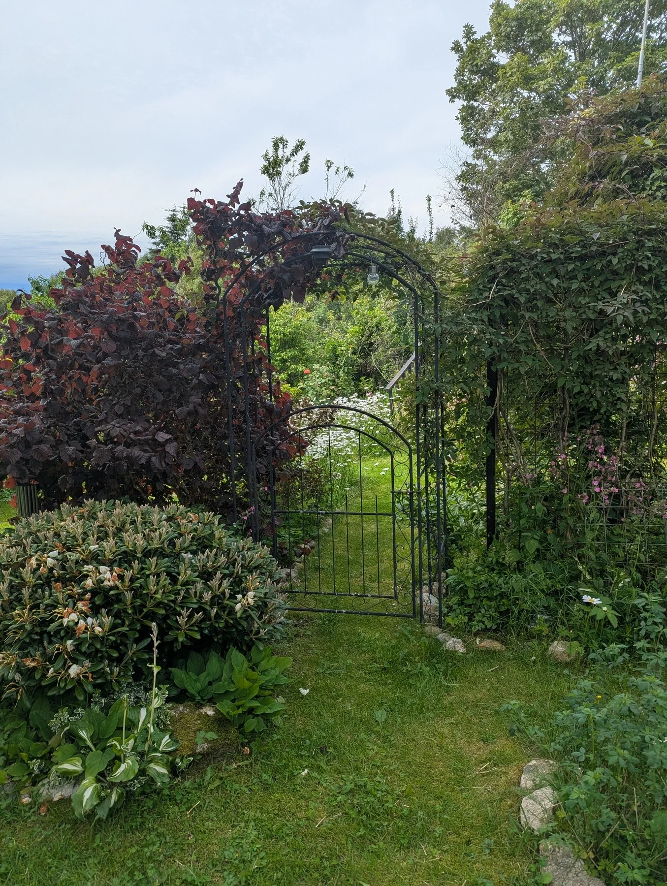 Photo 43