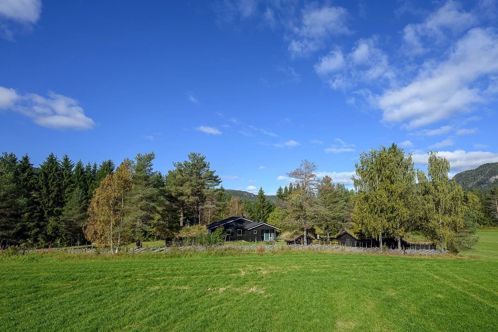 Photo 45