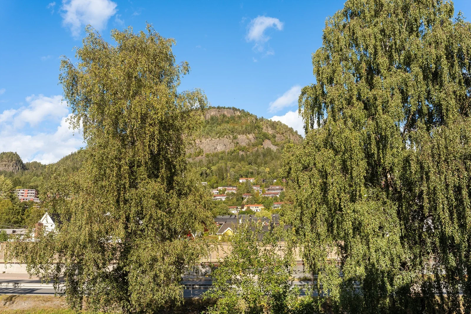 Photo 32