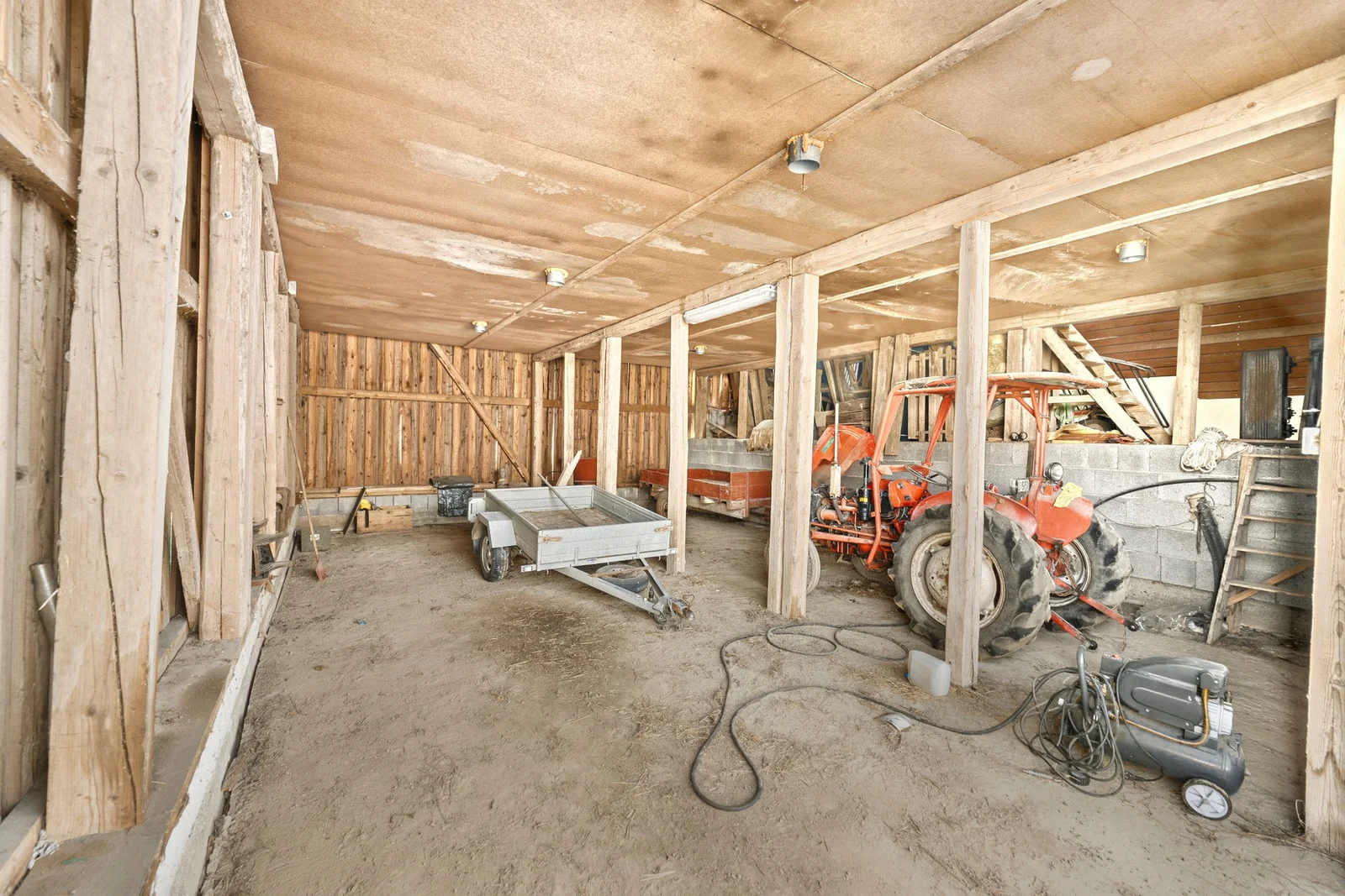 Photo 6