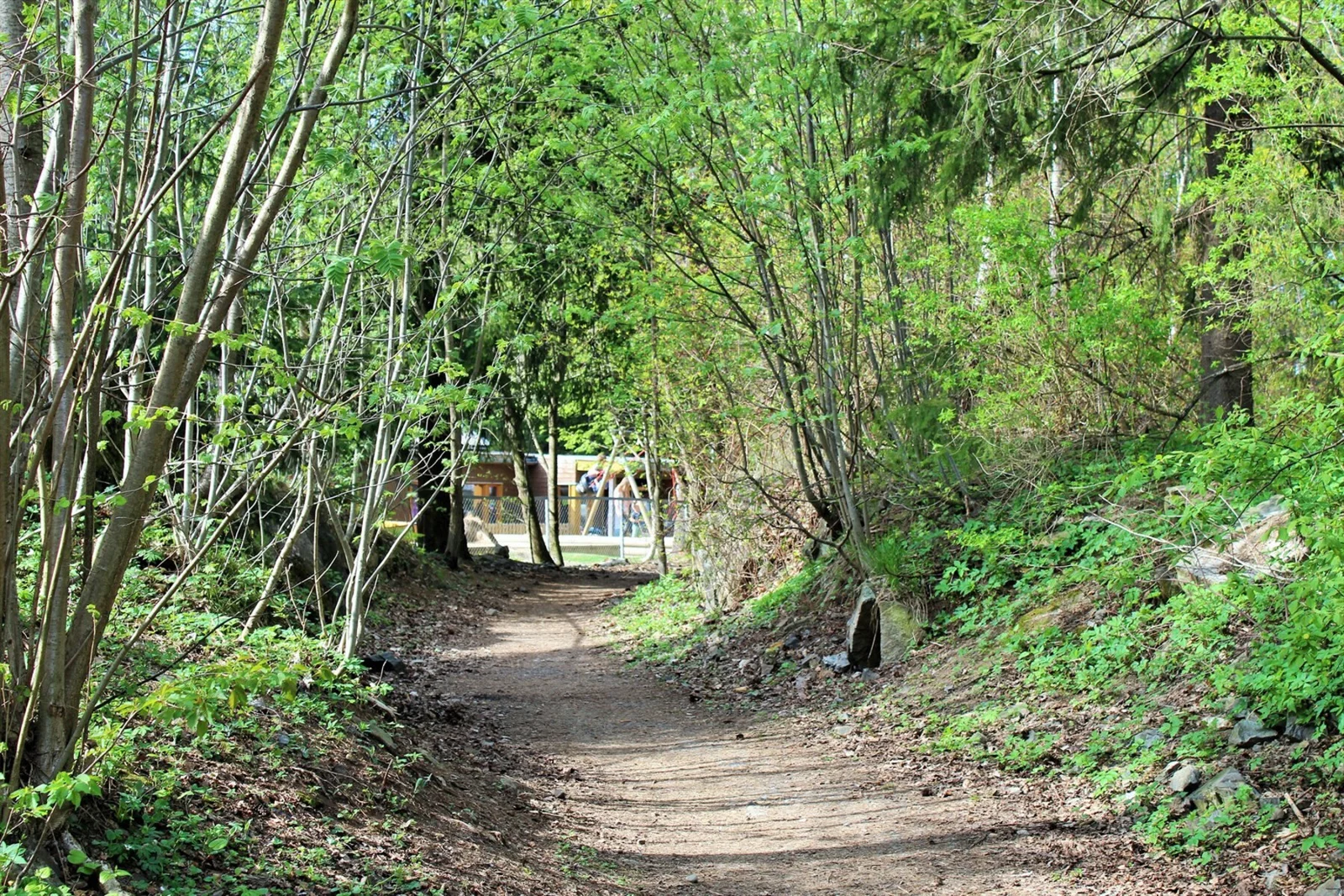 Photo 19