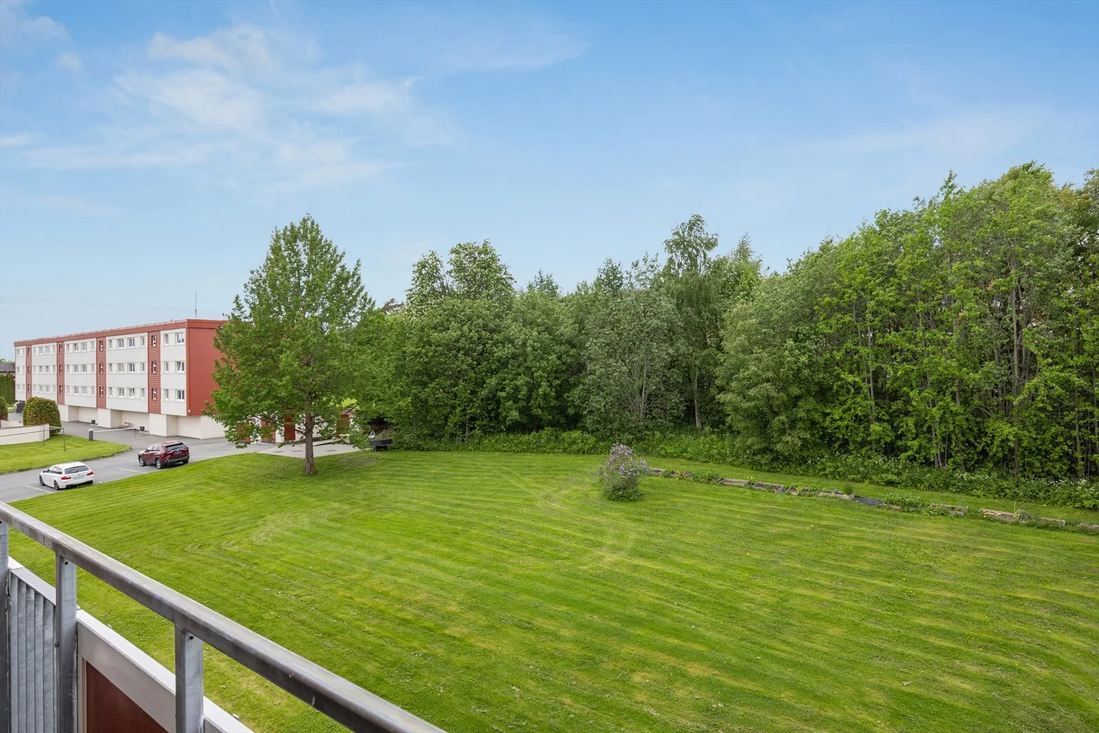 Photo 23