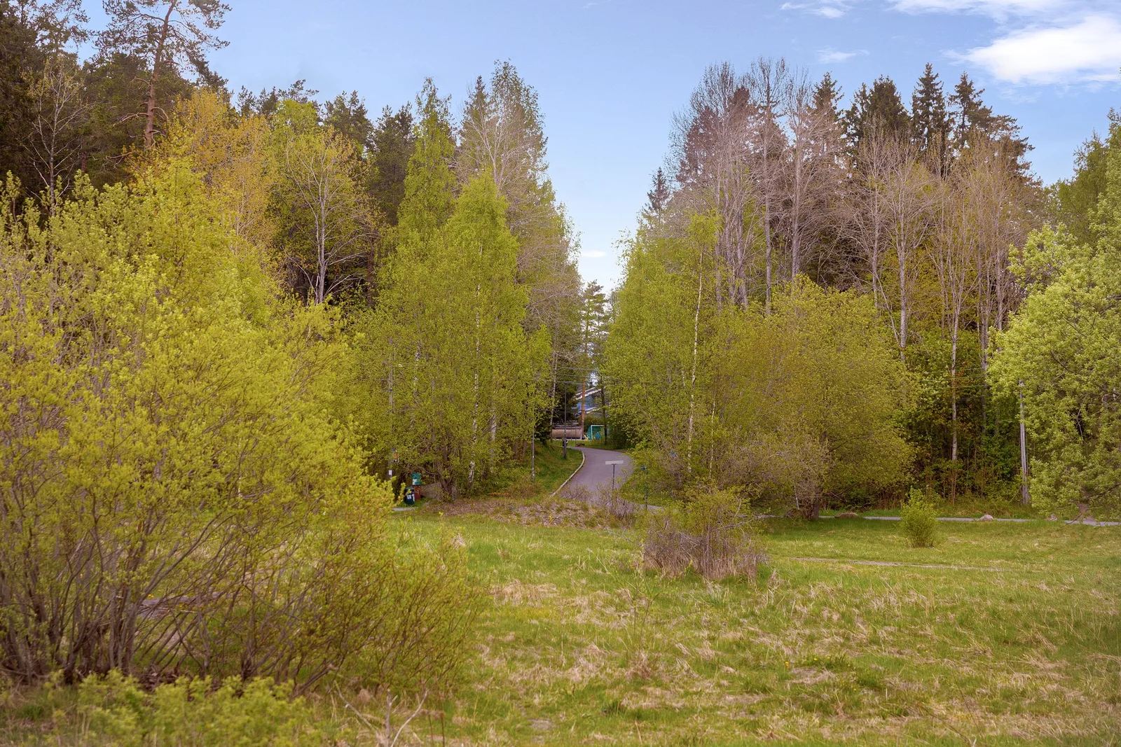 Photo 49