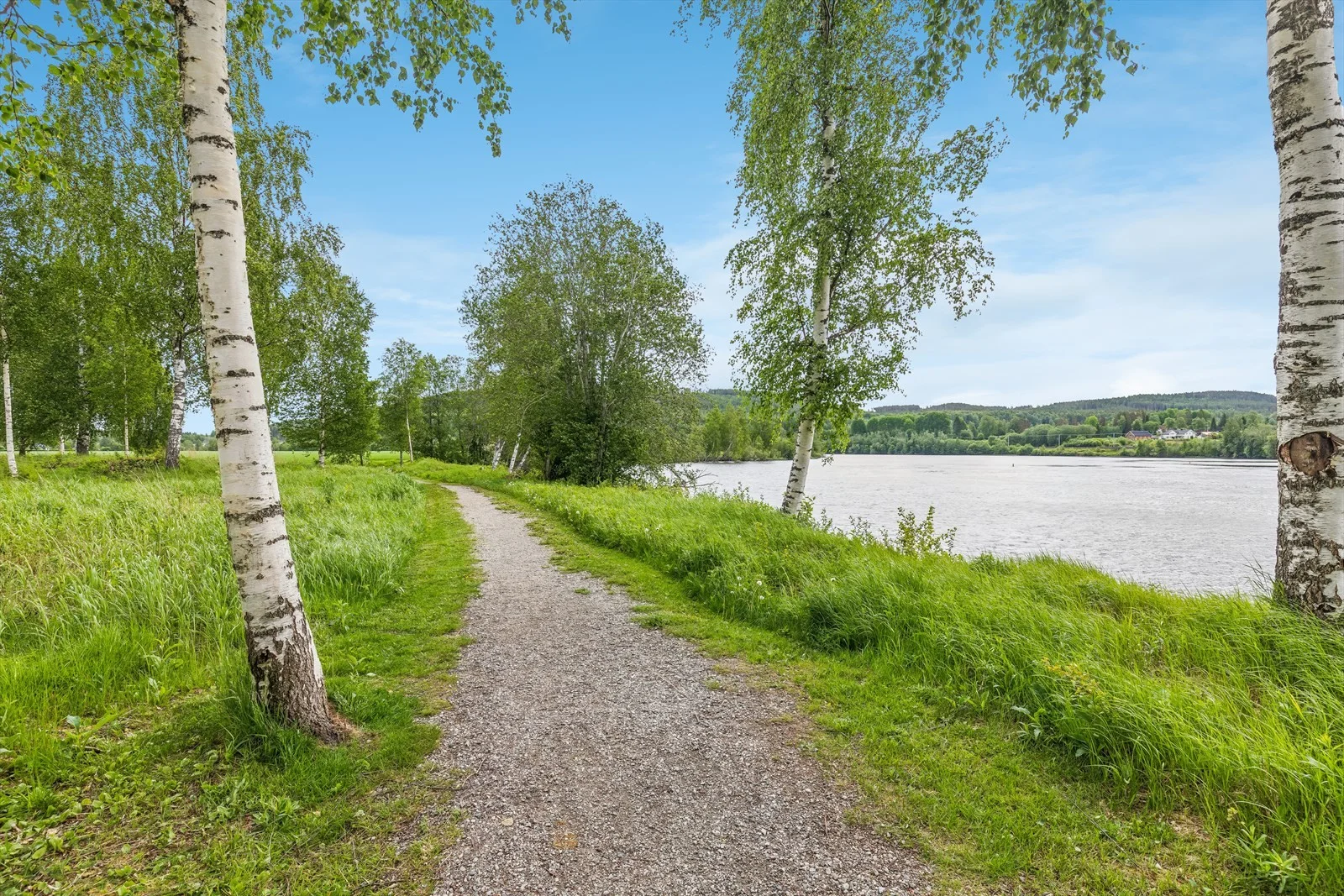 Photo 36