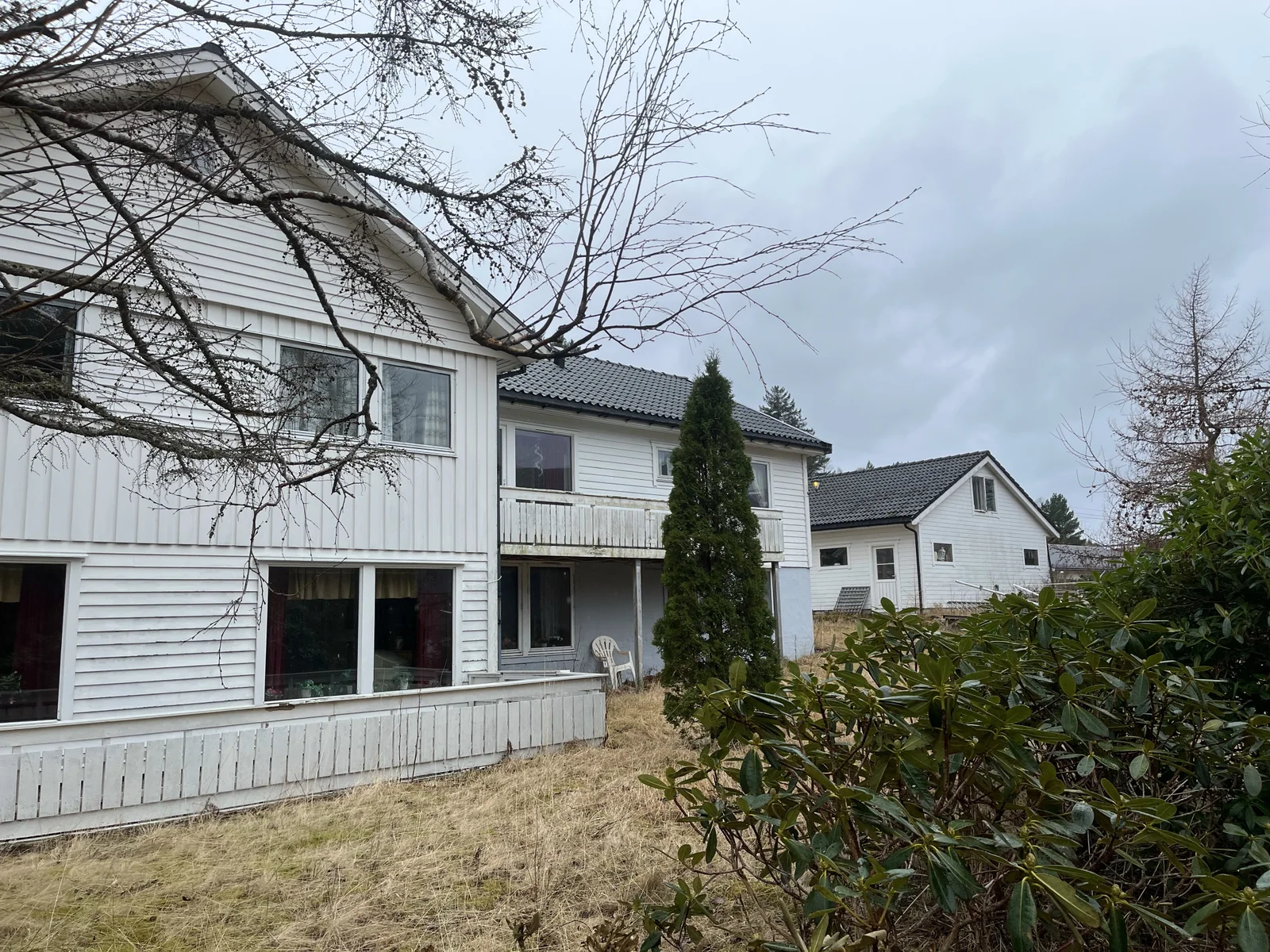 Photo 4