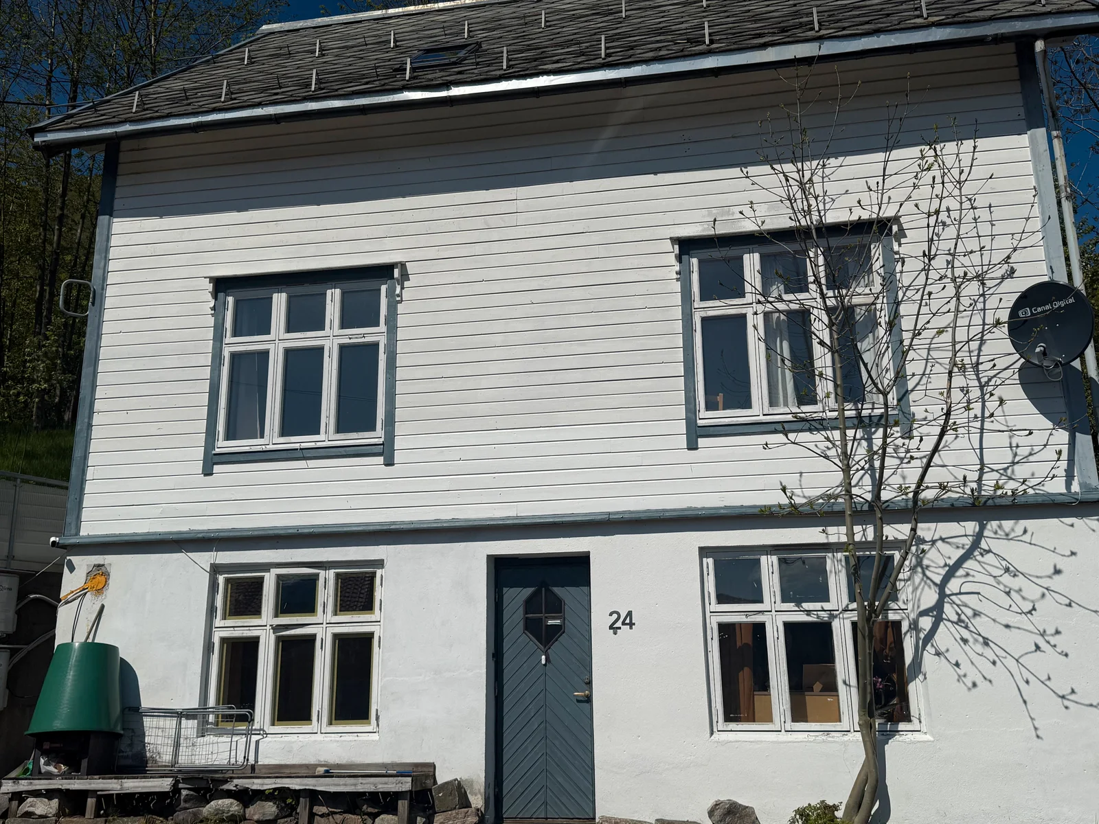 Photo 12