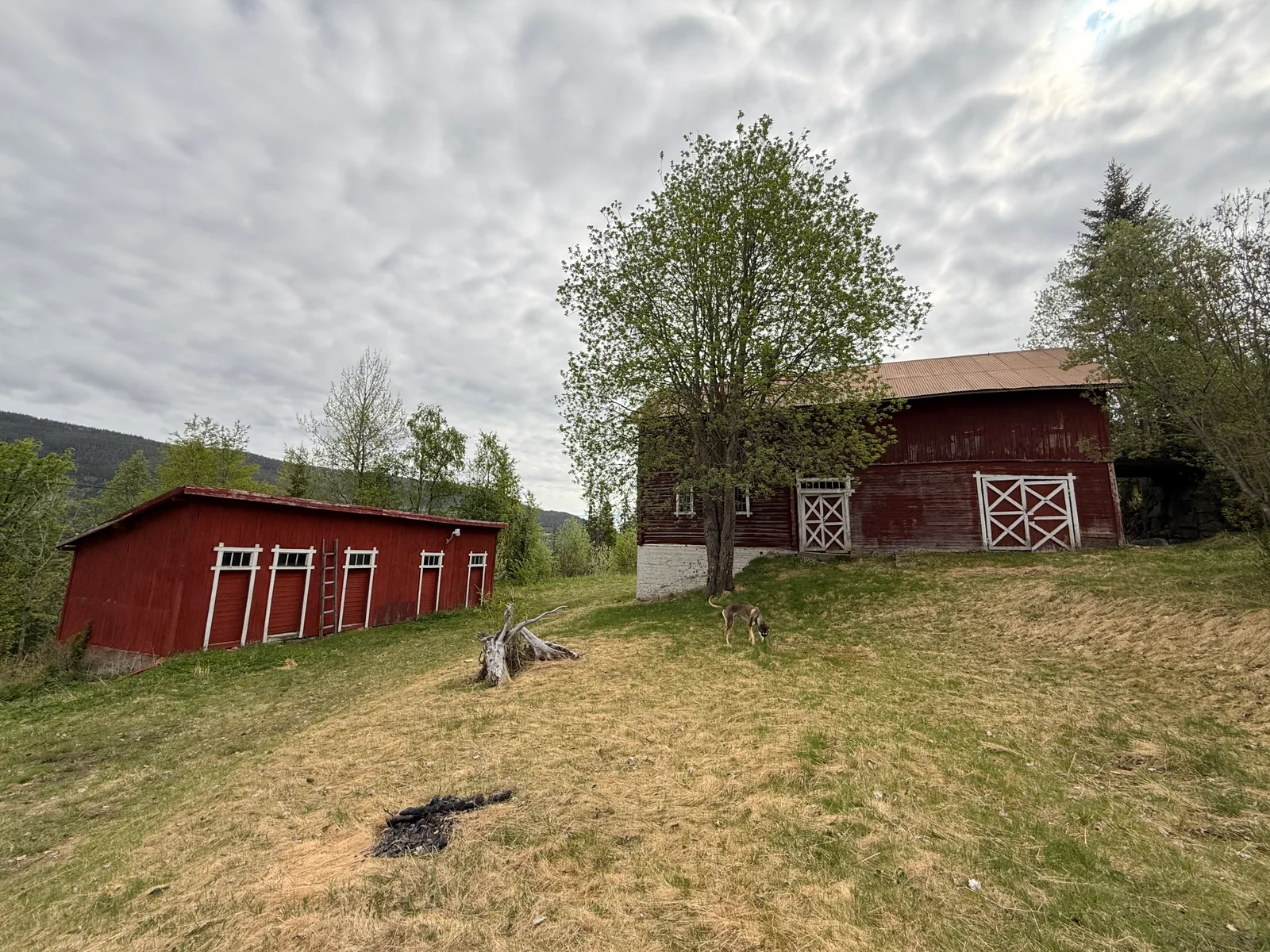 Photo 41