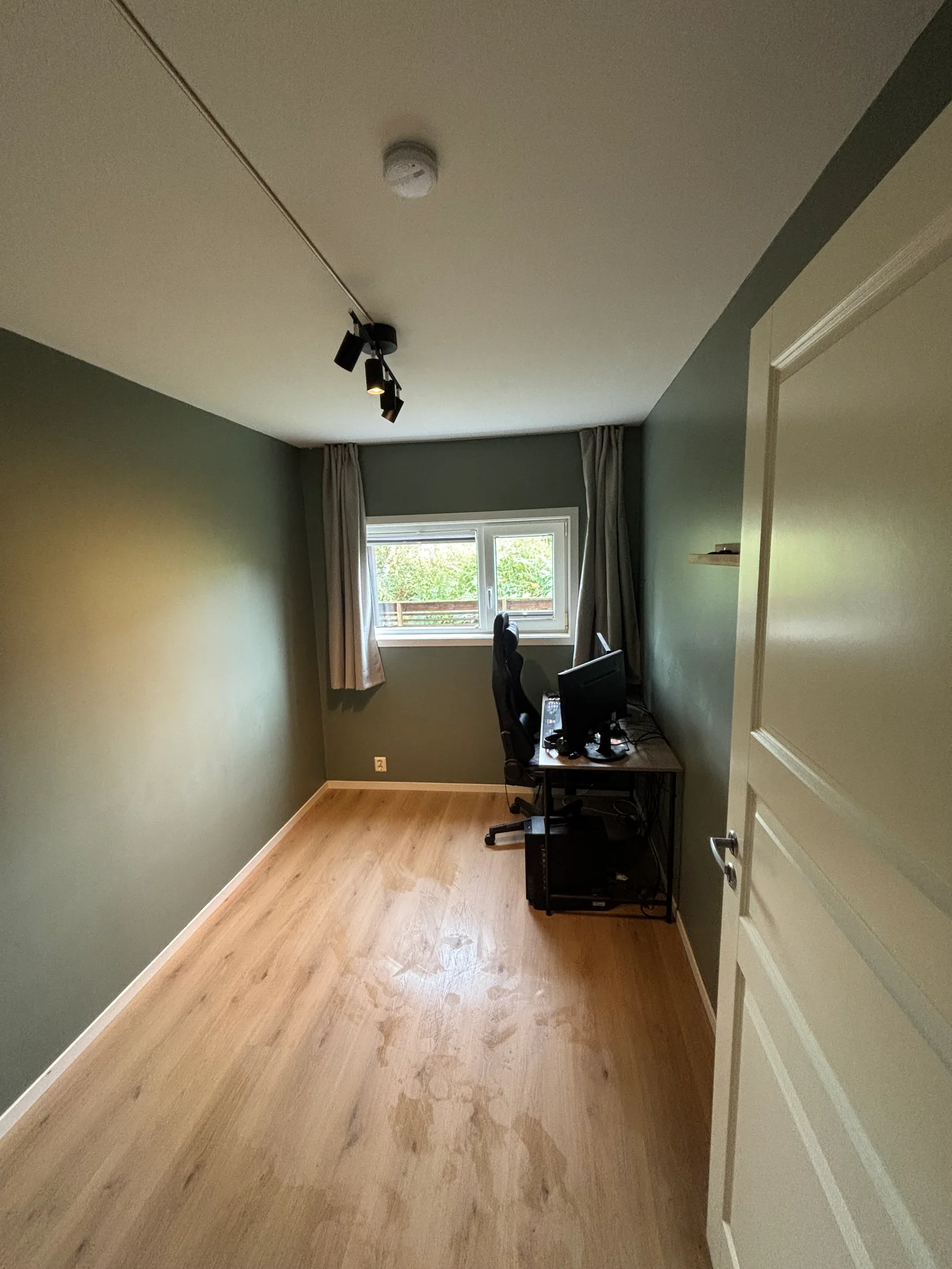 Photo 5