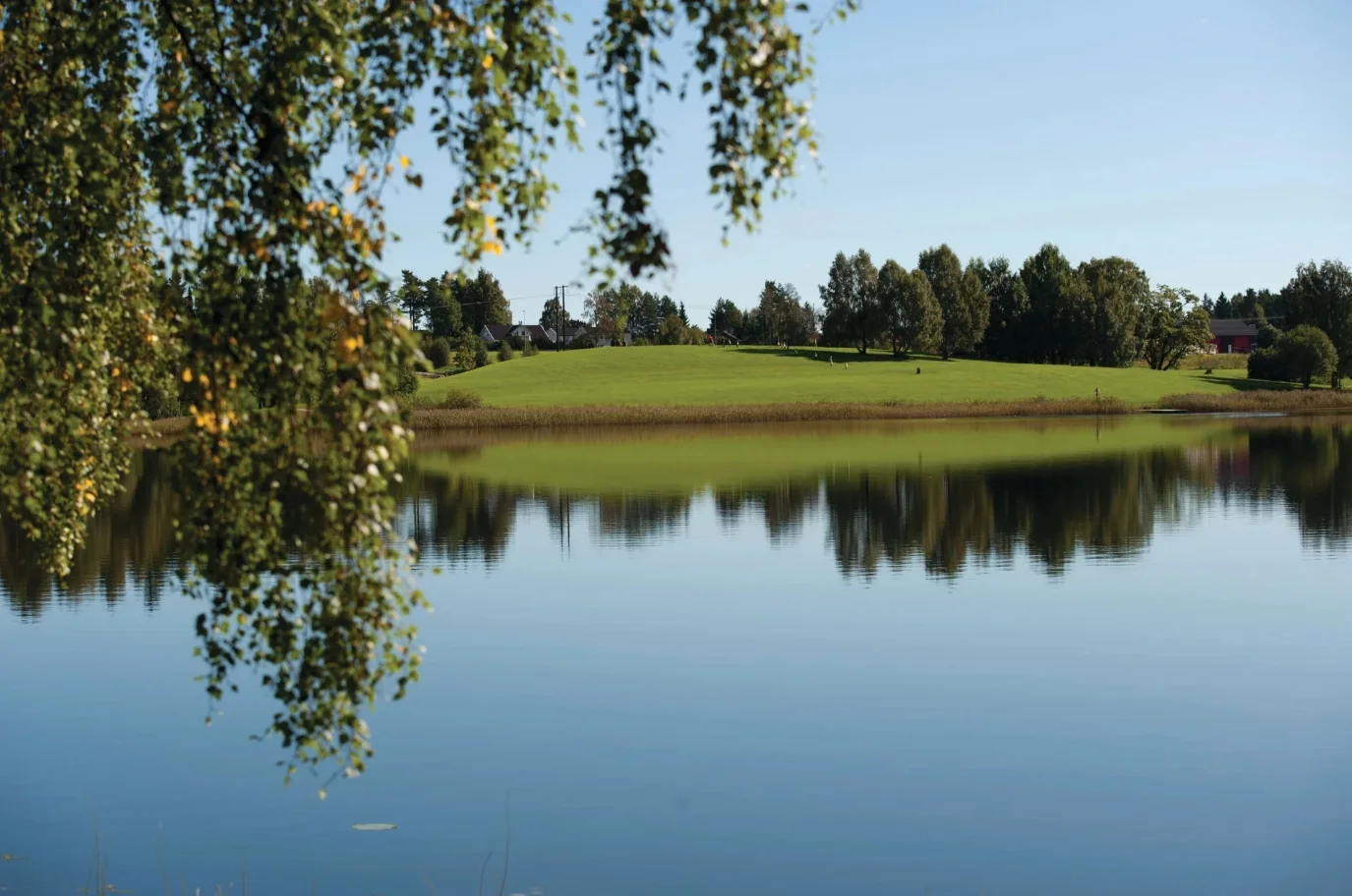 Photo 43