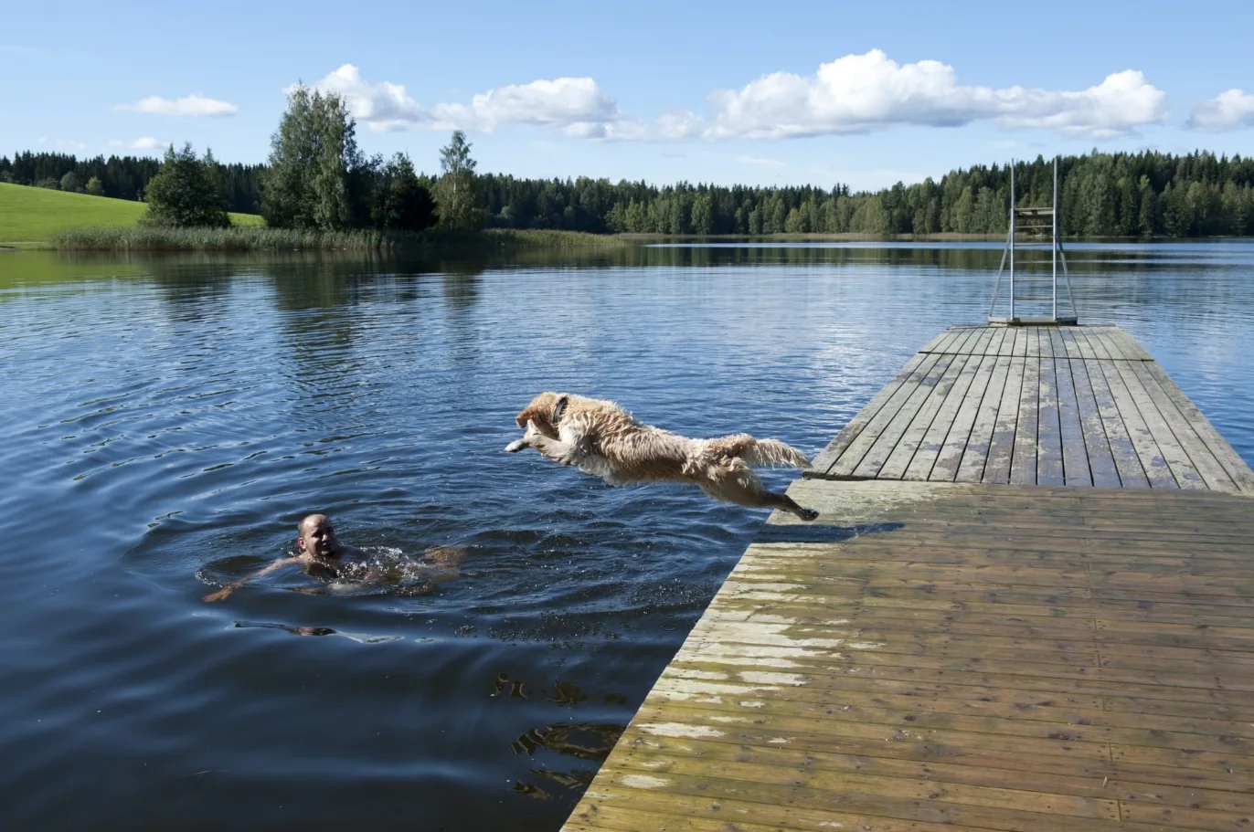 Photo 44