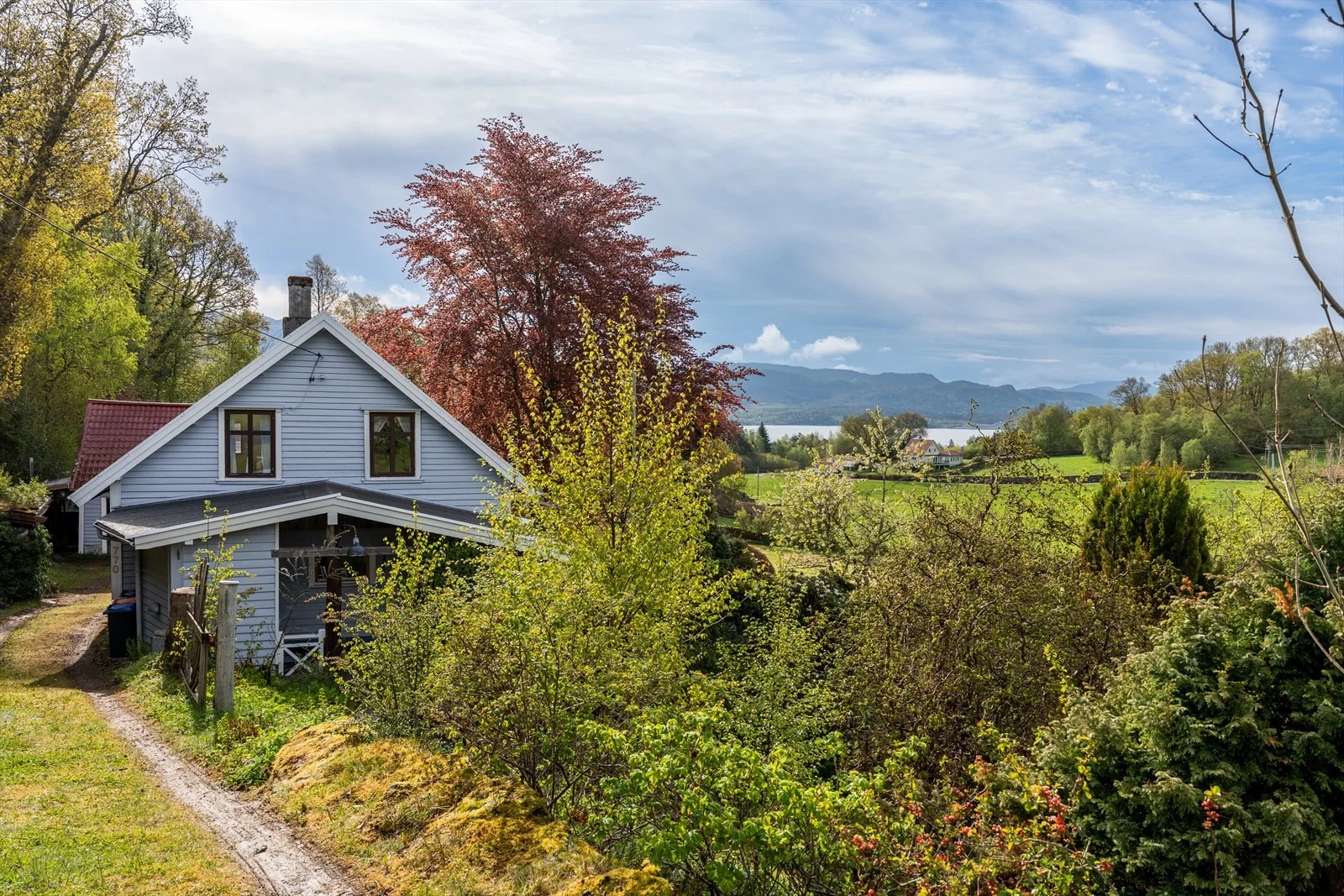 Photo 51