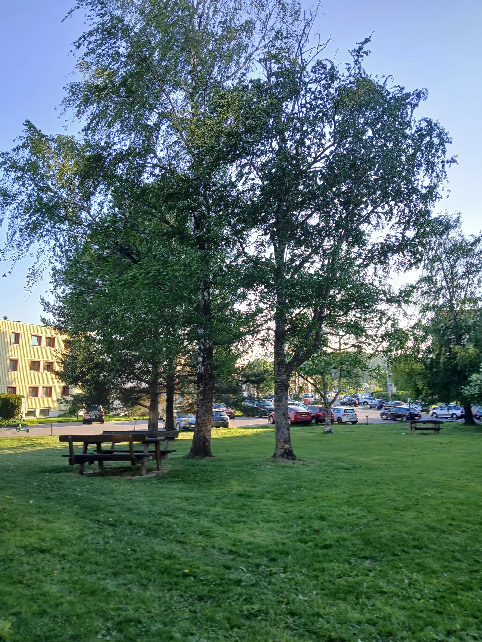 Photo 18