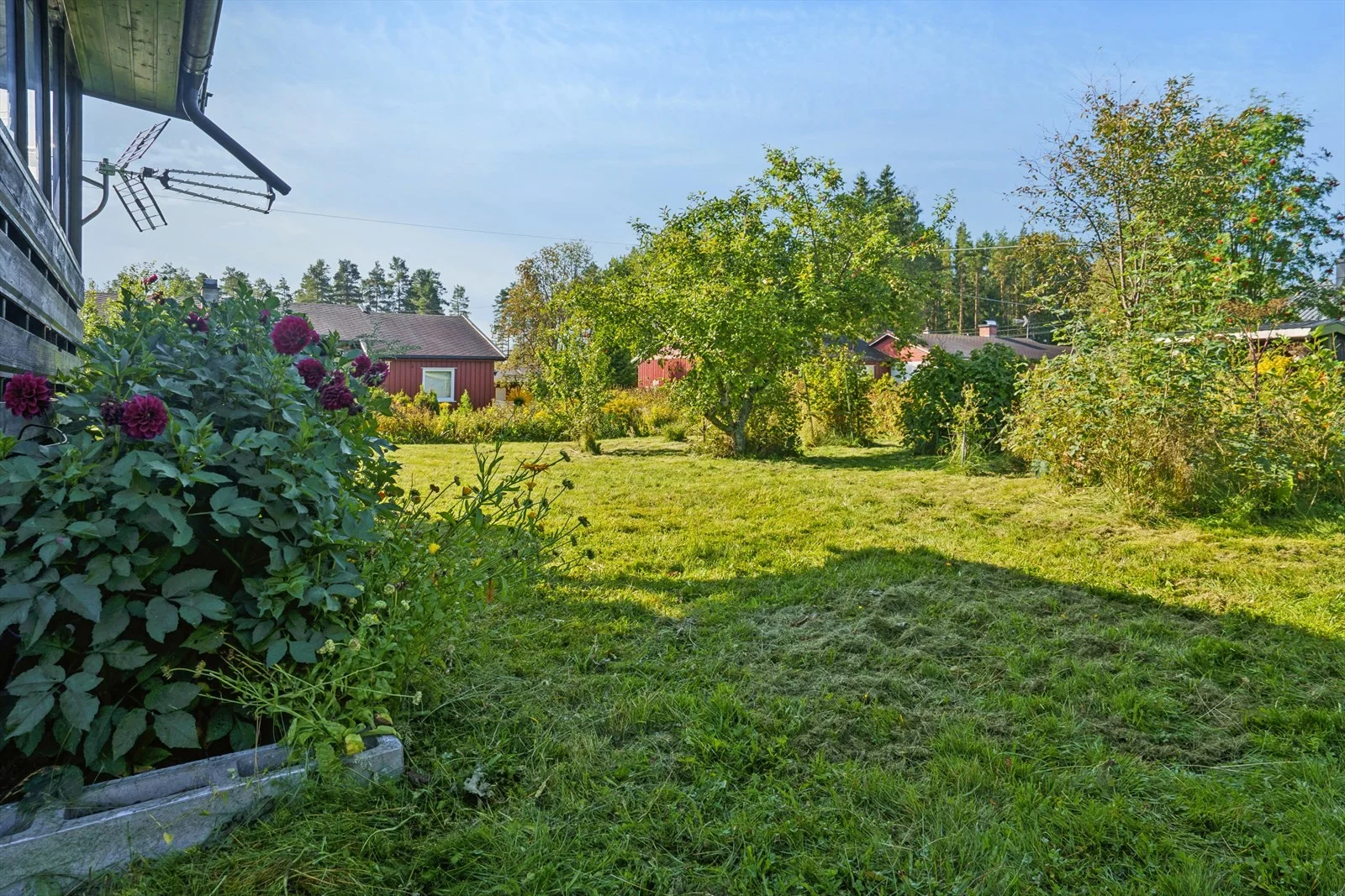 Photo 35