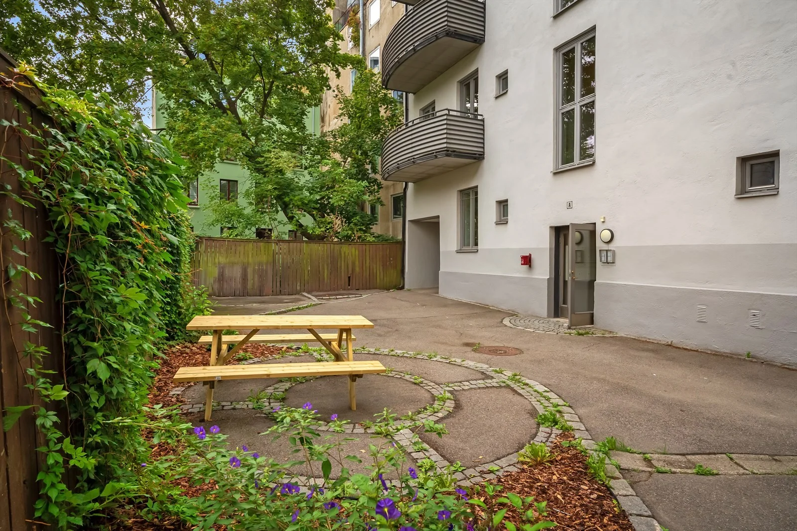 Photo 25
