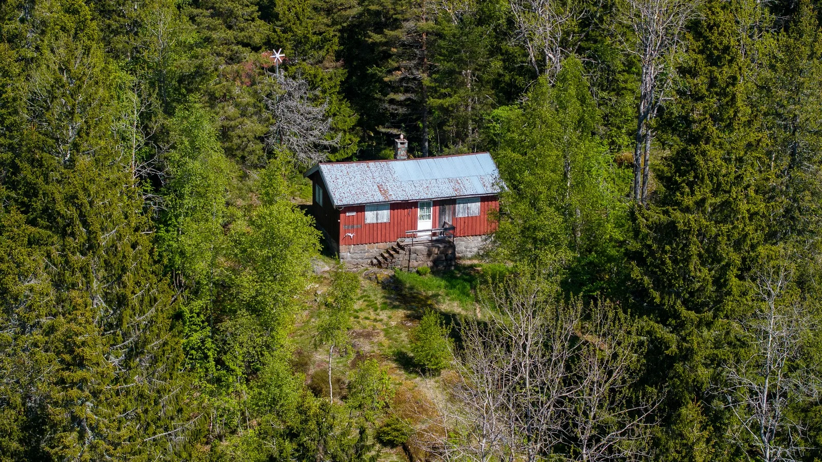 Photo 21