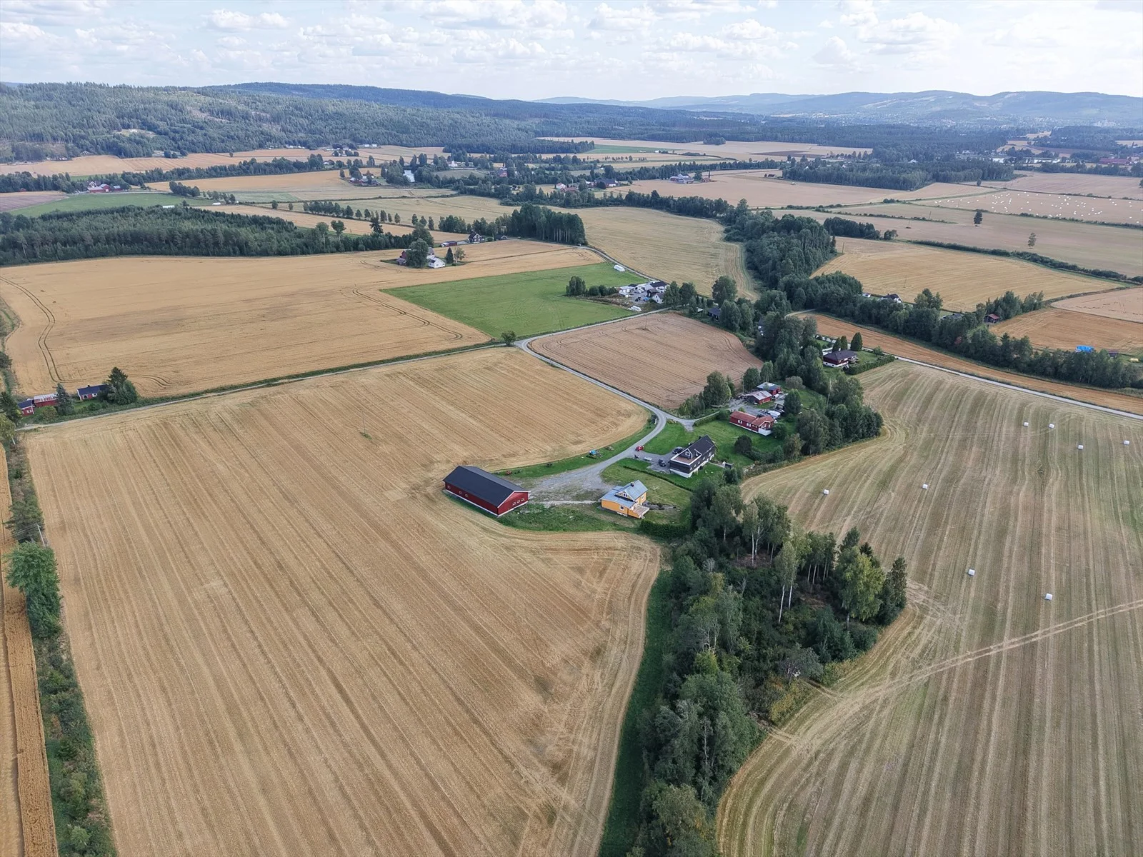 Photo 41