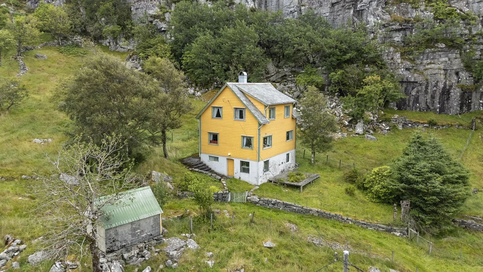 Photo 4