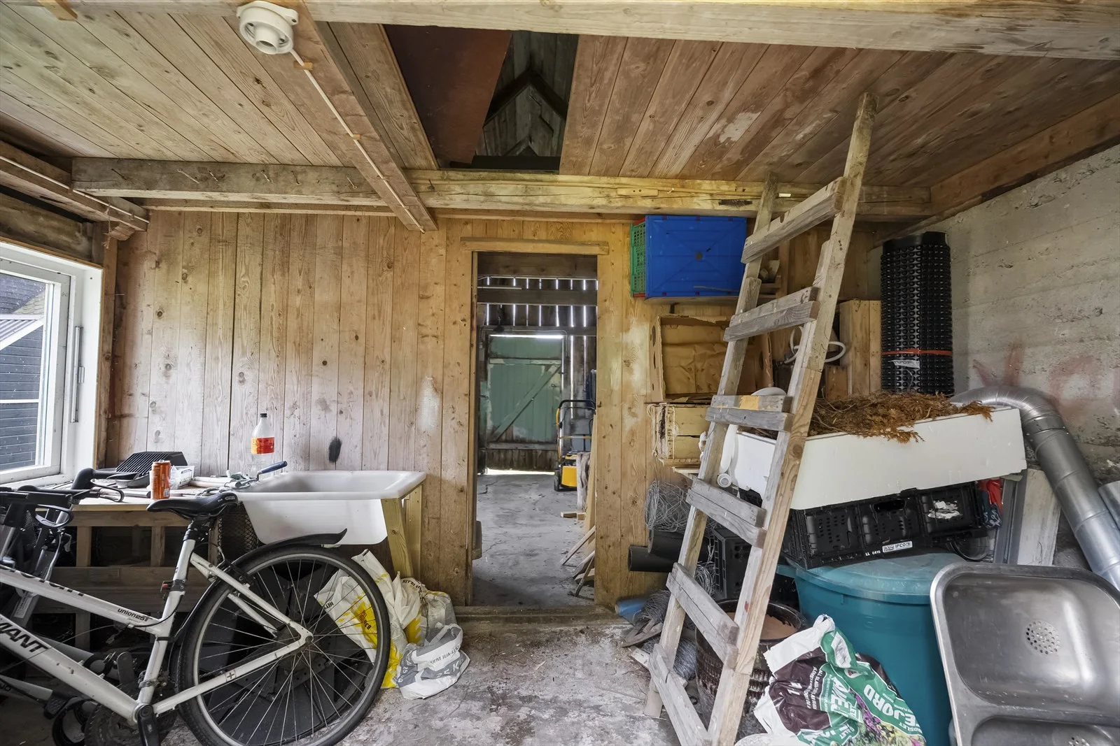 Photo 15