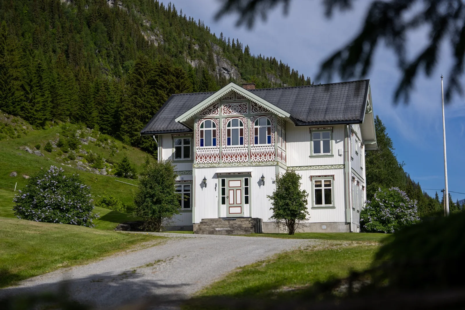 Photo 8