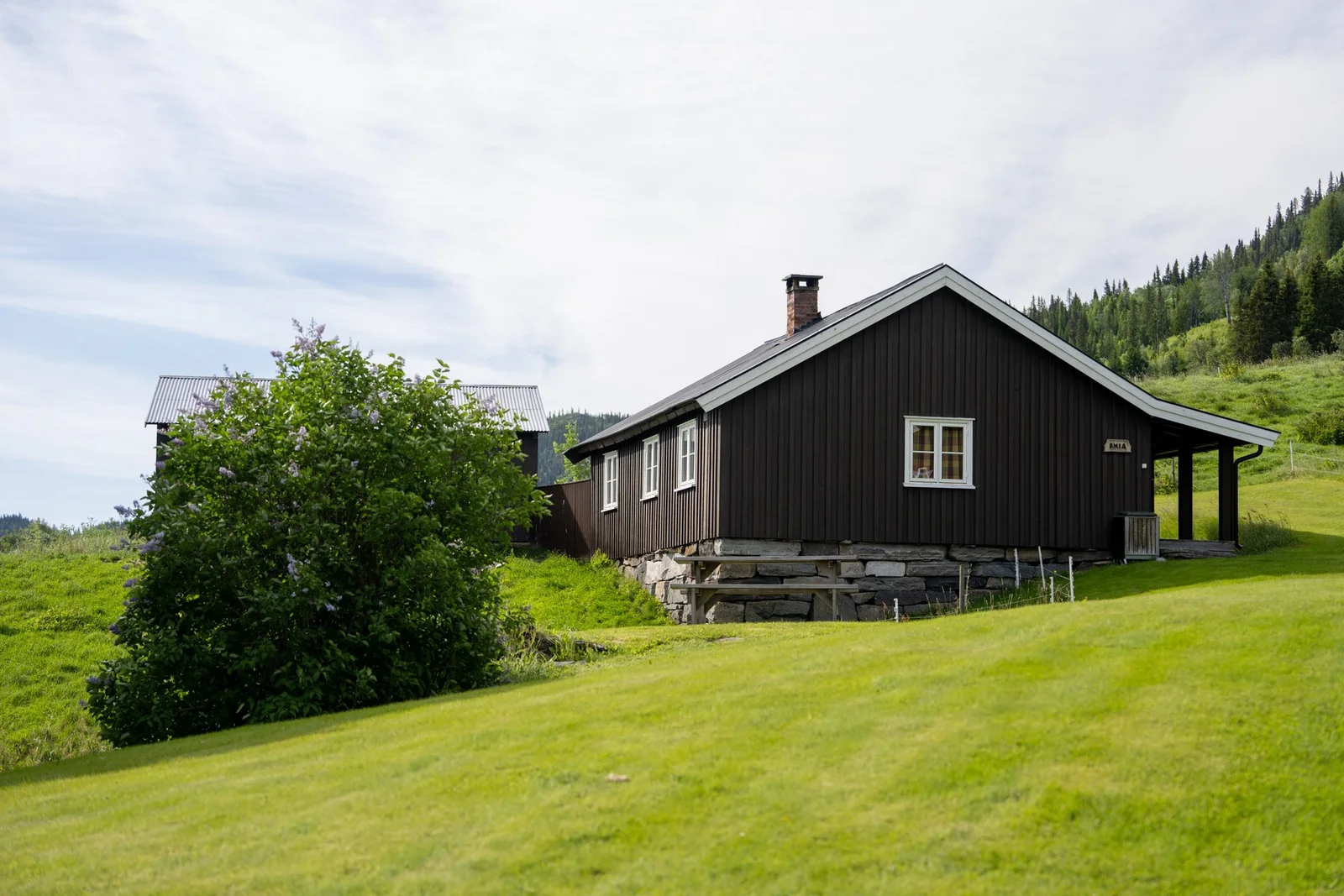 Photo 45