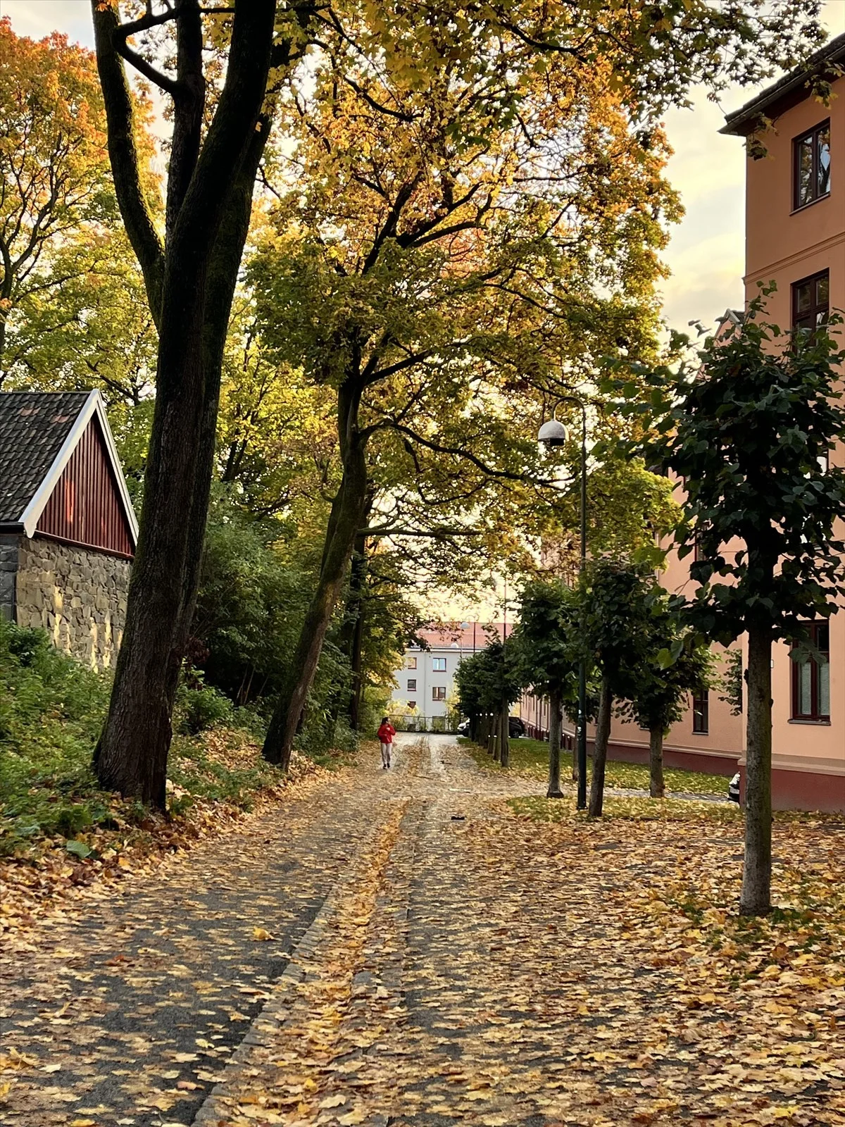 Photo 31