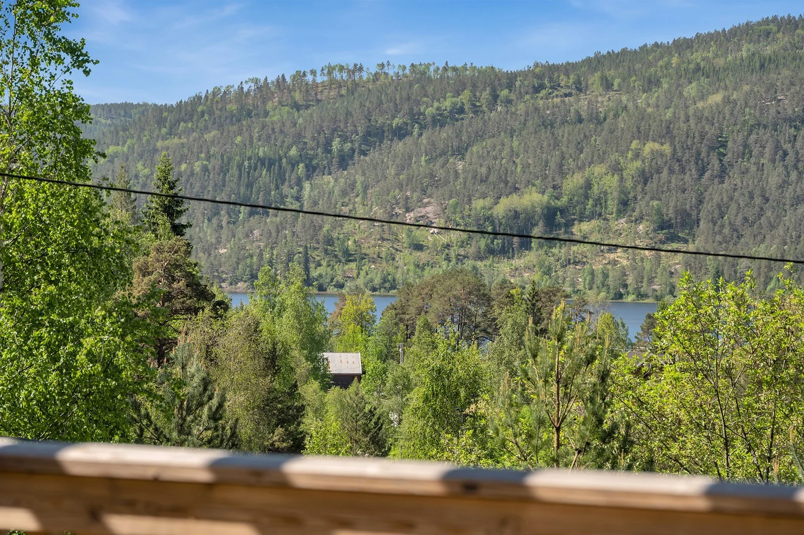 Photo 3