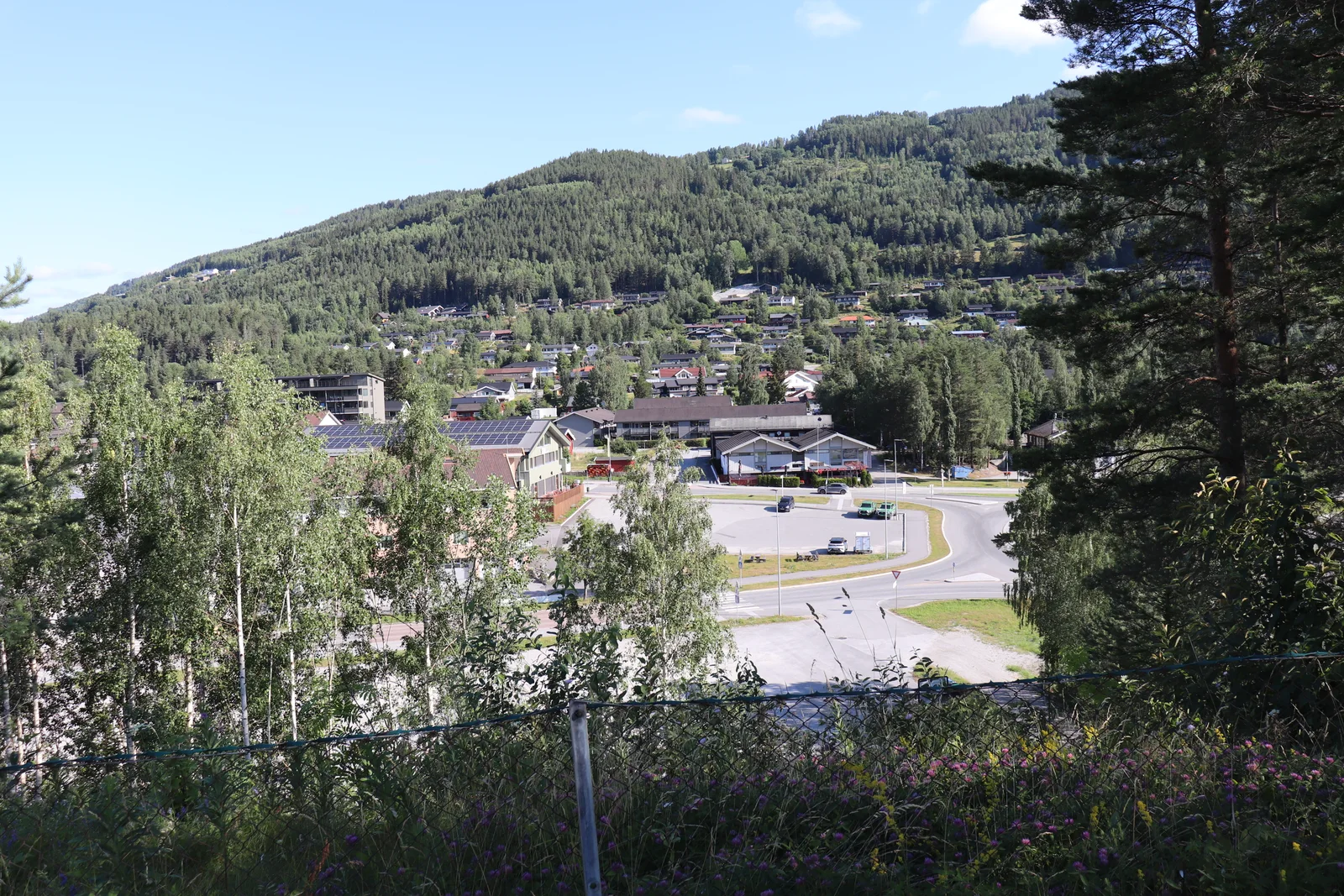Photo 50