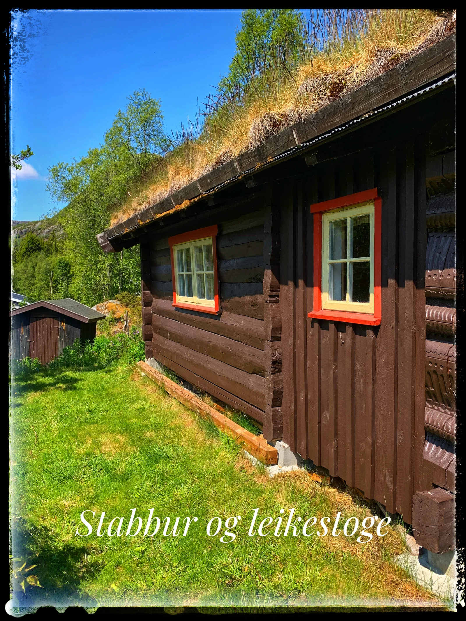 Photo 19