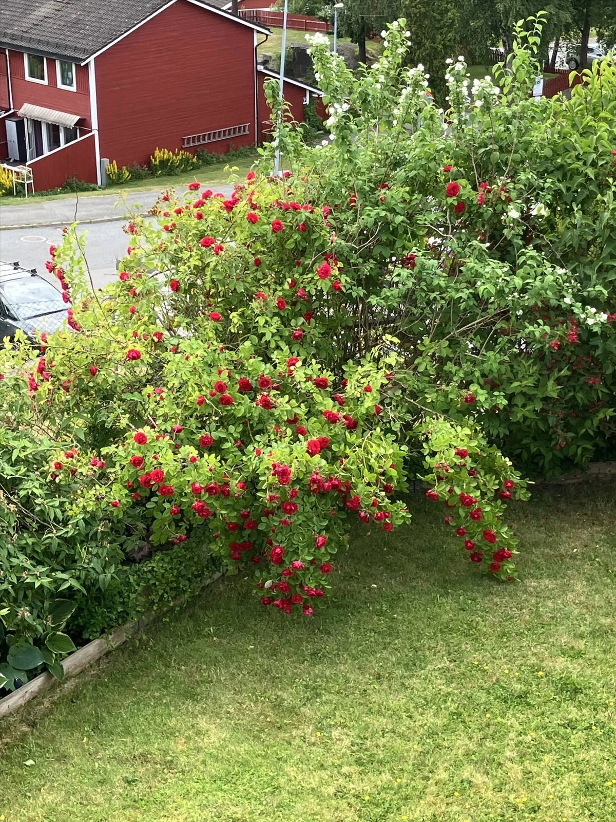 Photo 31
