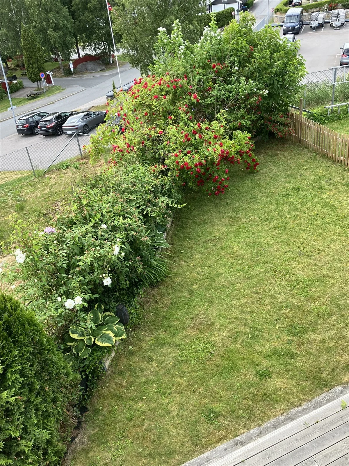 Photo 32