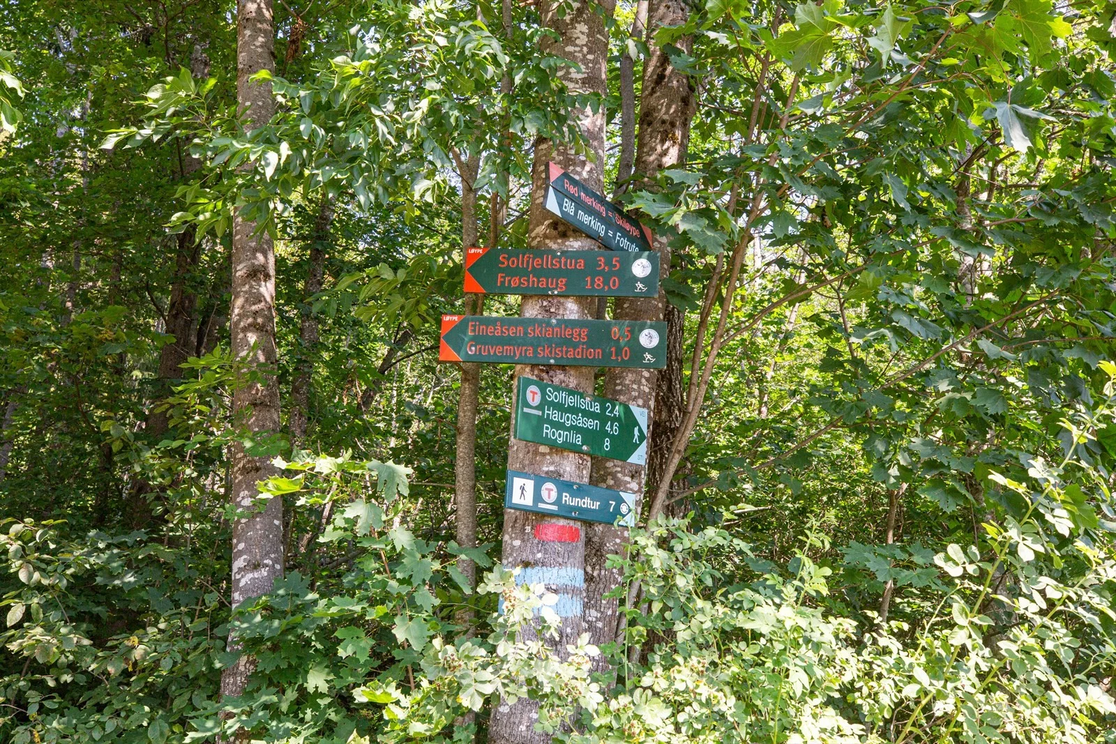Photo 45