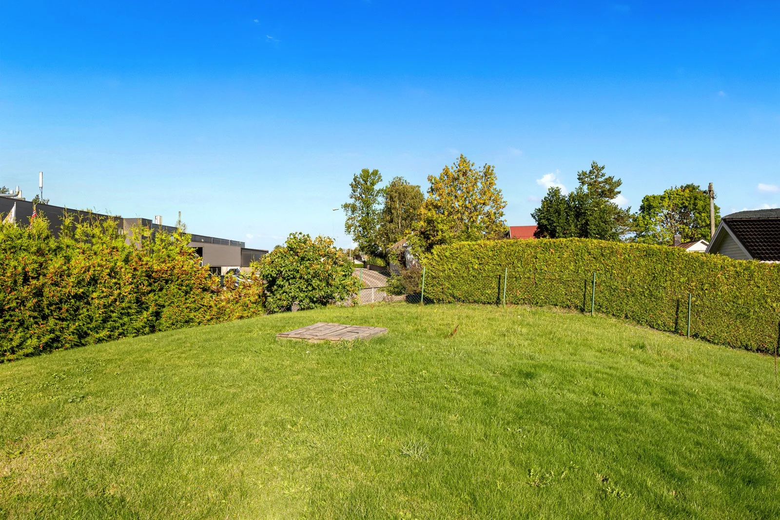 Photo 15