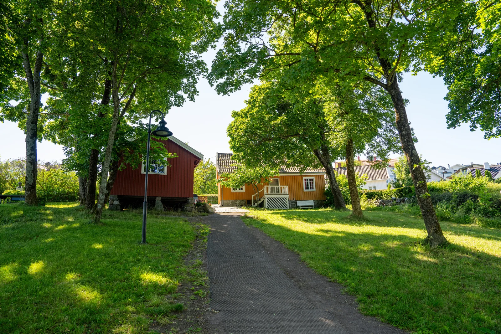 Photo 23
