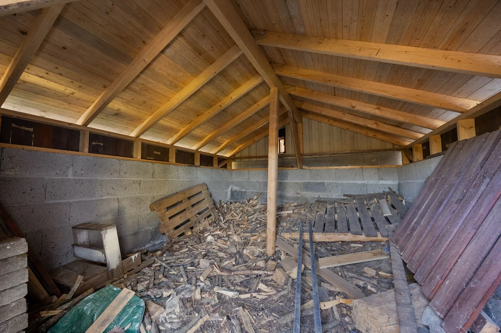 Photo 42