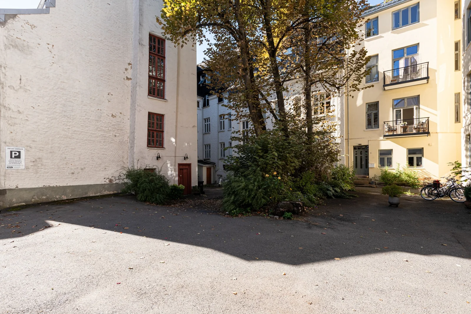 Photo 48