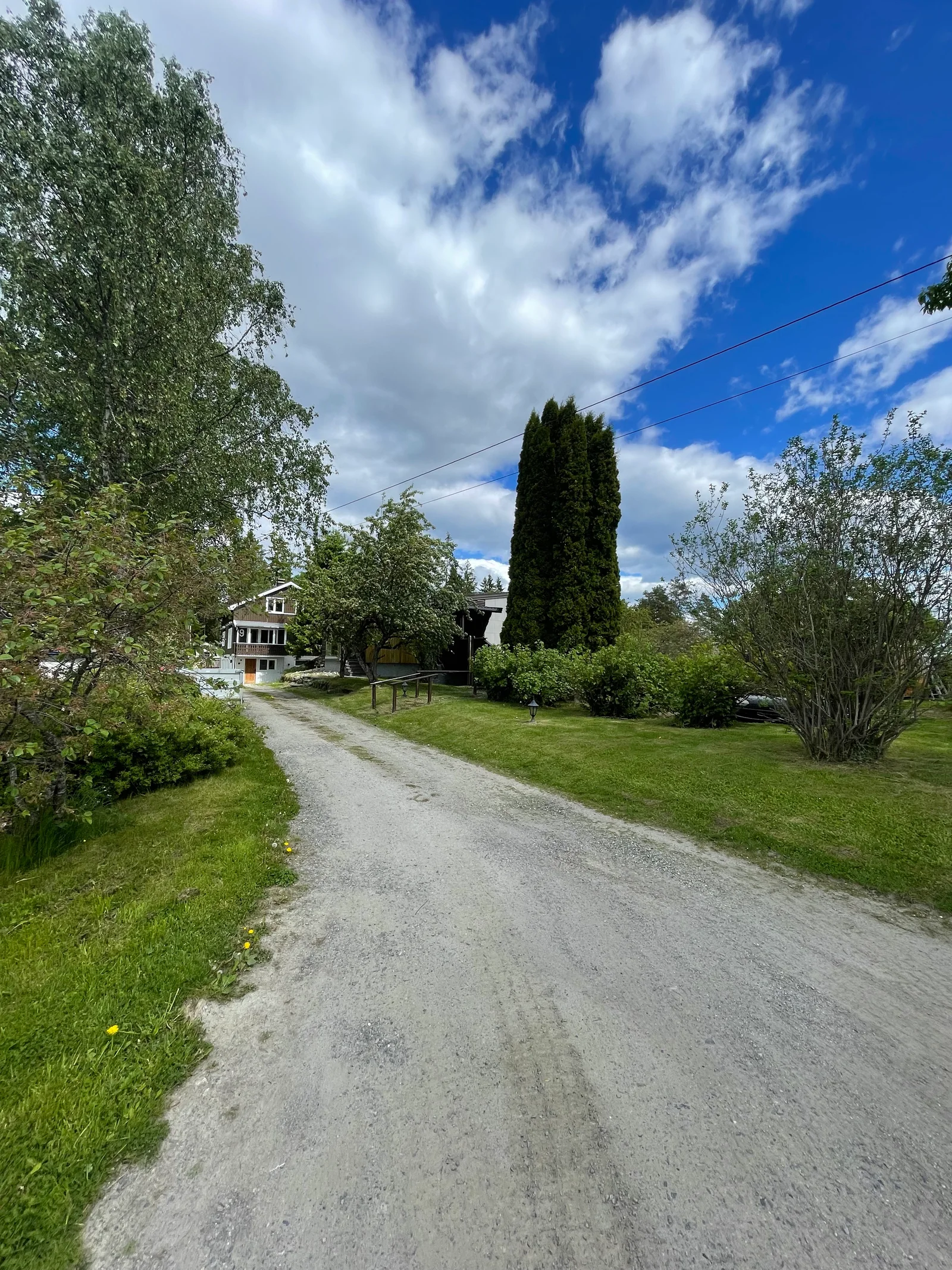 Photo 35