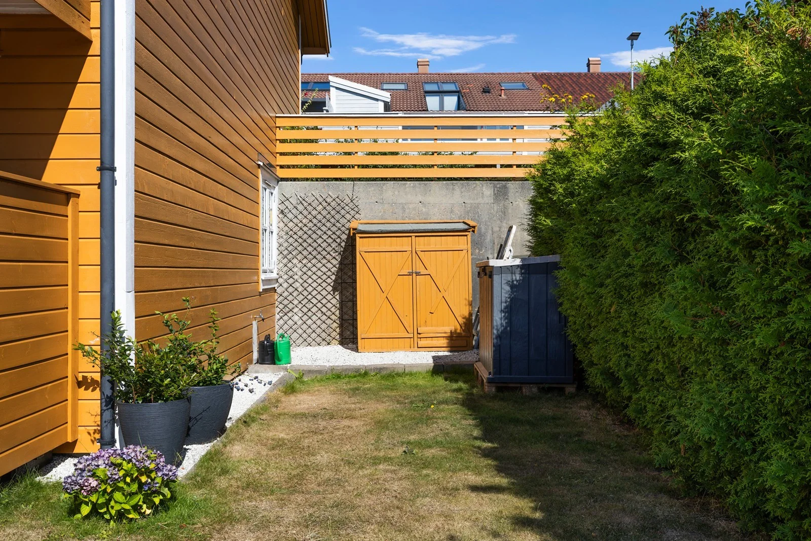 Photo 25
