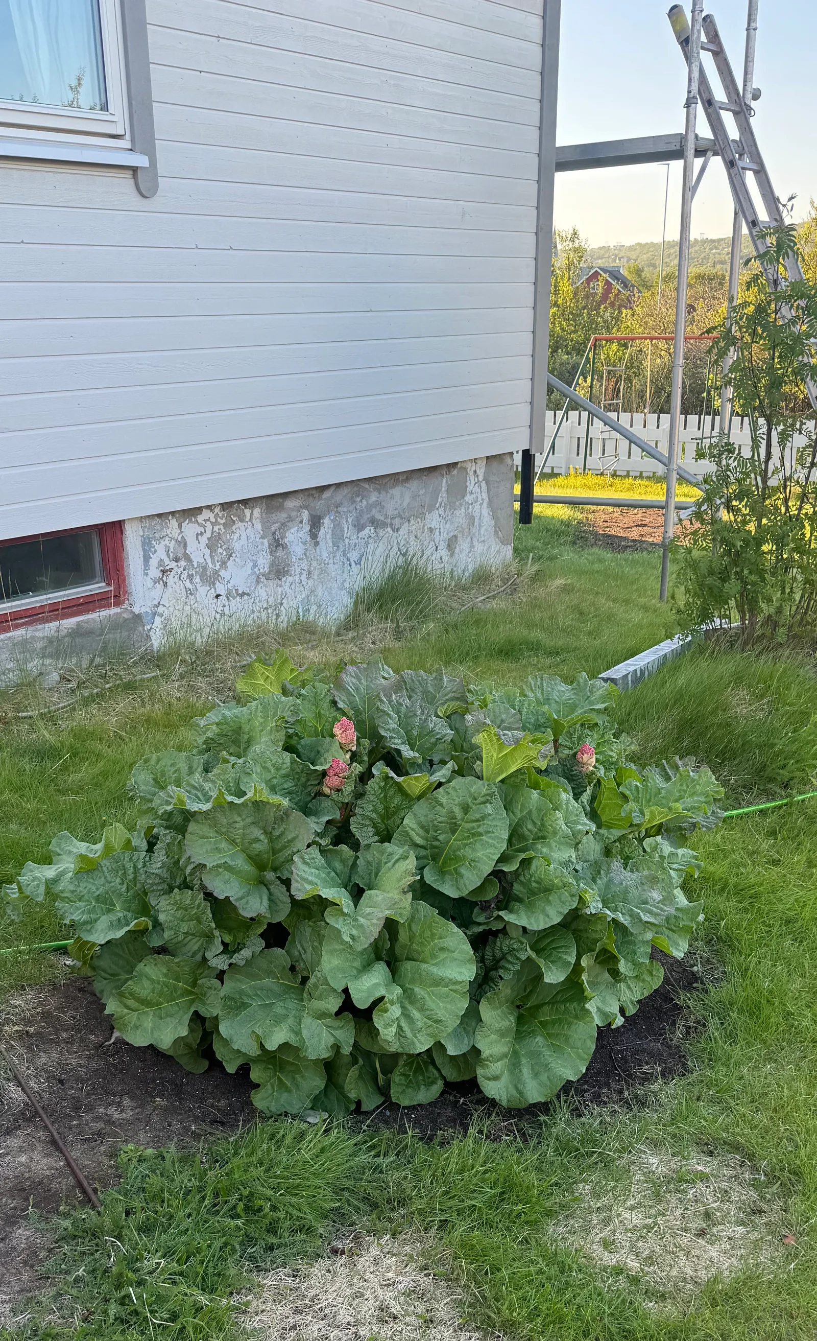 Photo 51