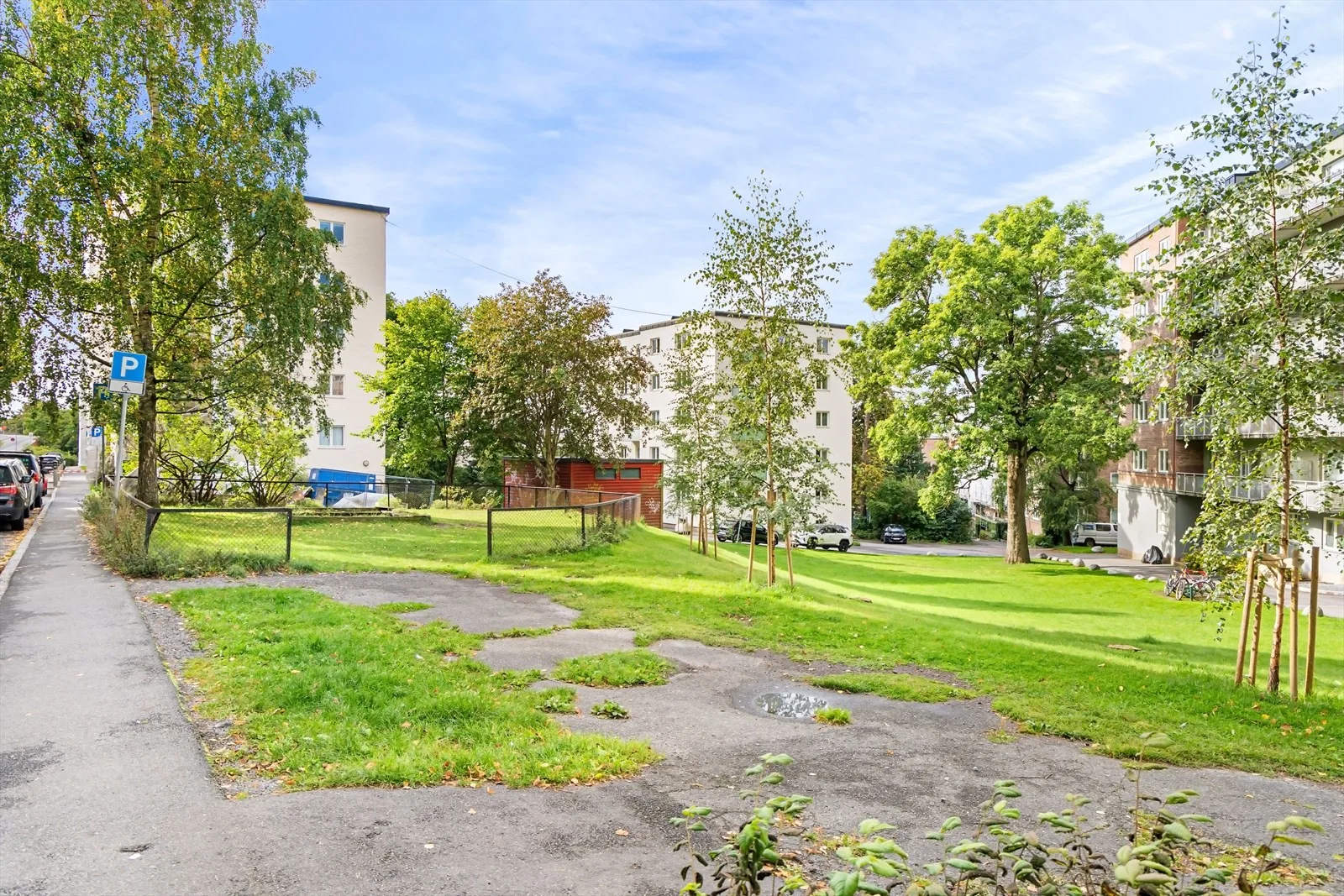 Photo 23
