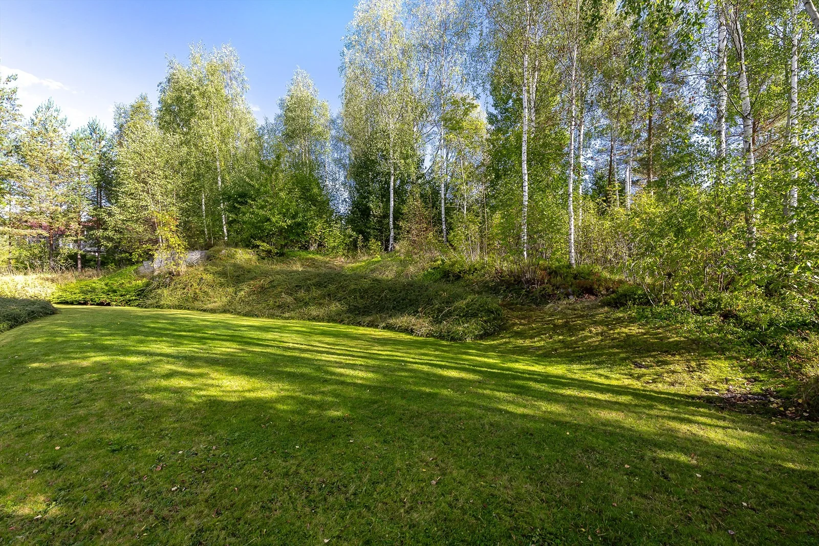 Photo 48
