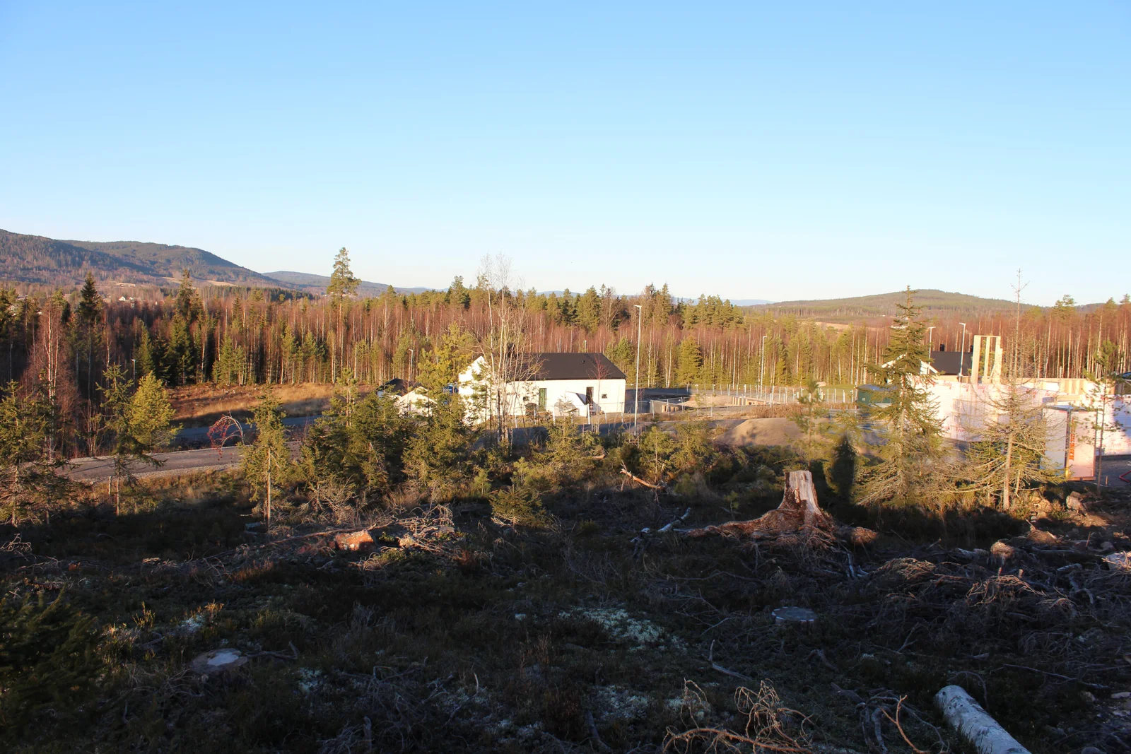 Photo 7