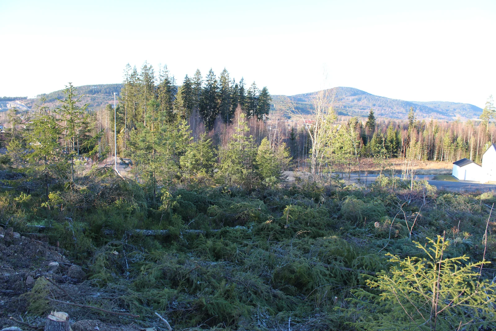 Photo 8