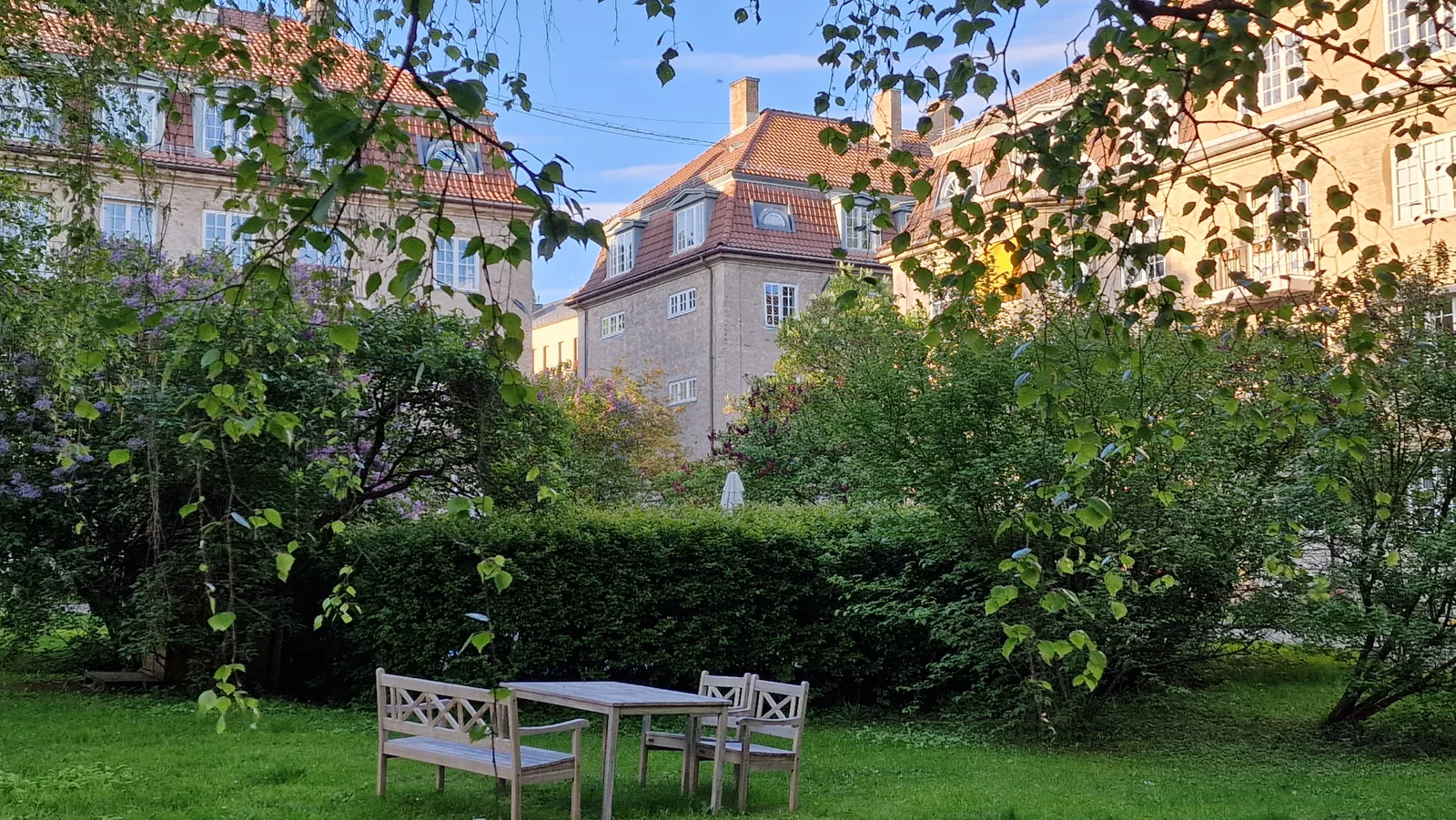 Photo 19