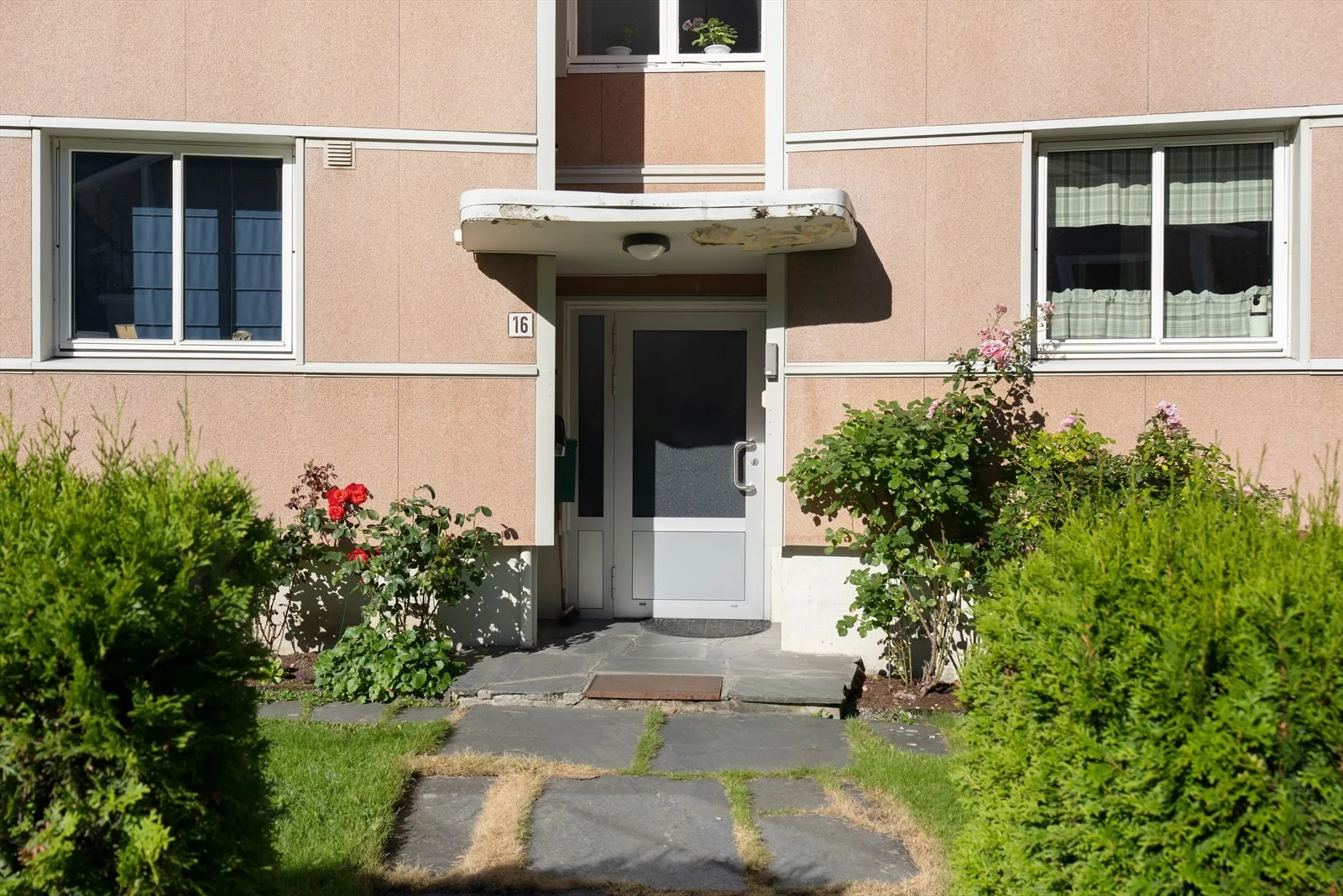 Photo 5