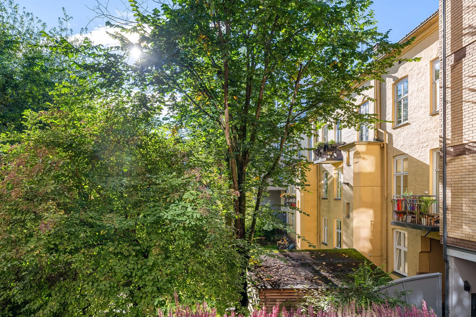 Photo 13