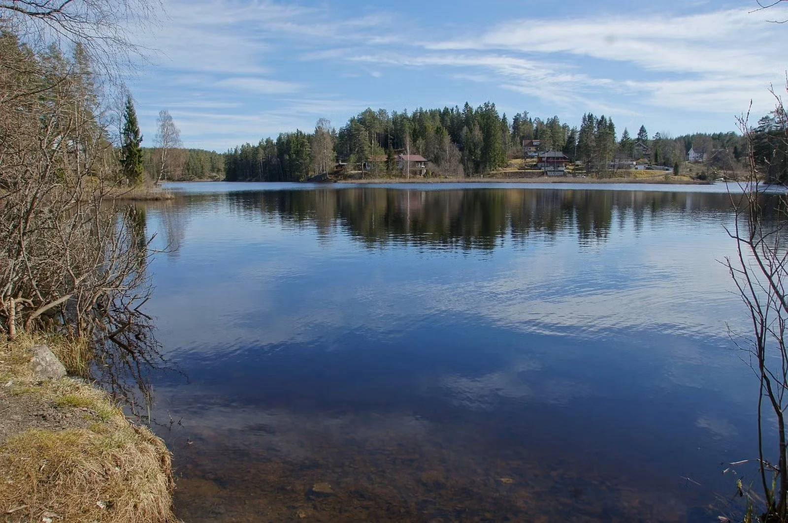 Photo 46