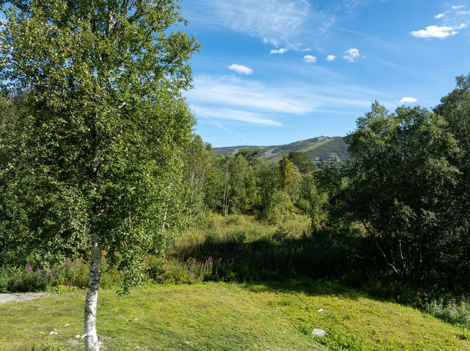 Photo 48