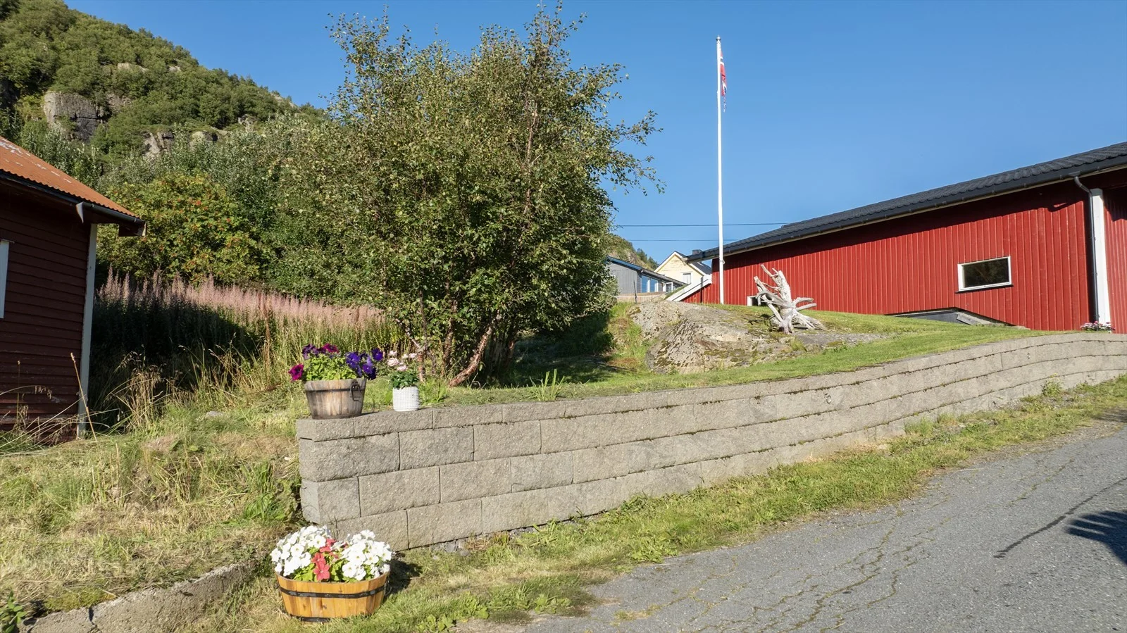 Photo 12