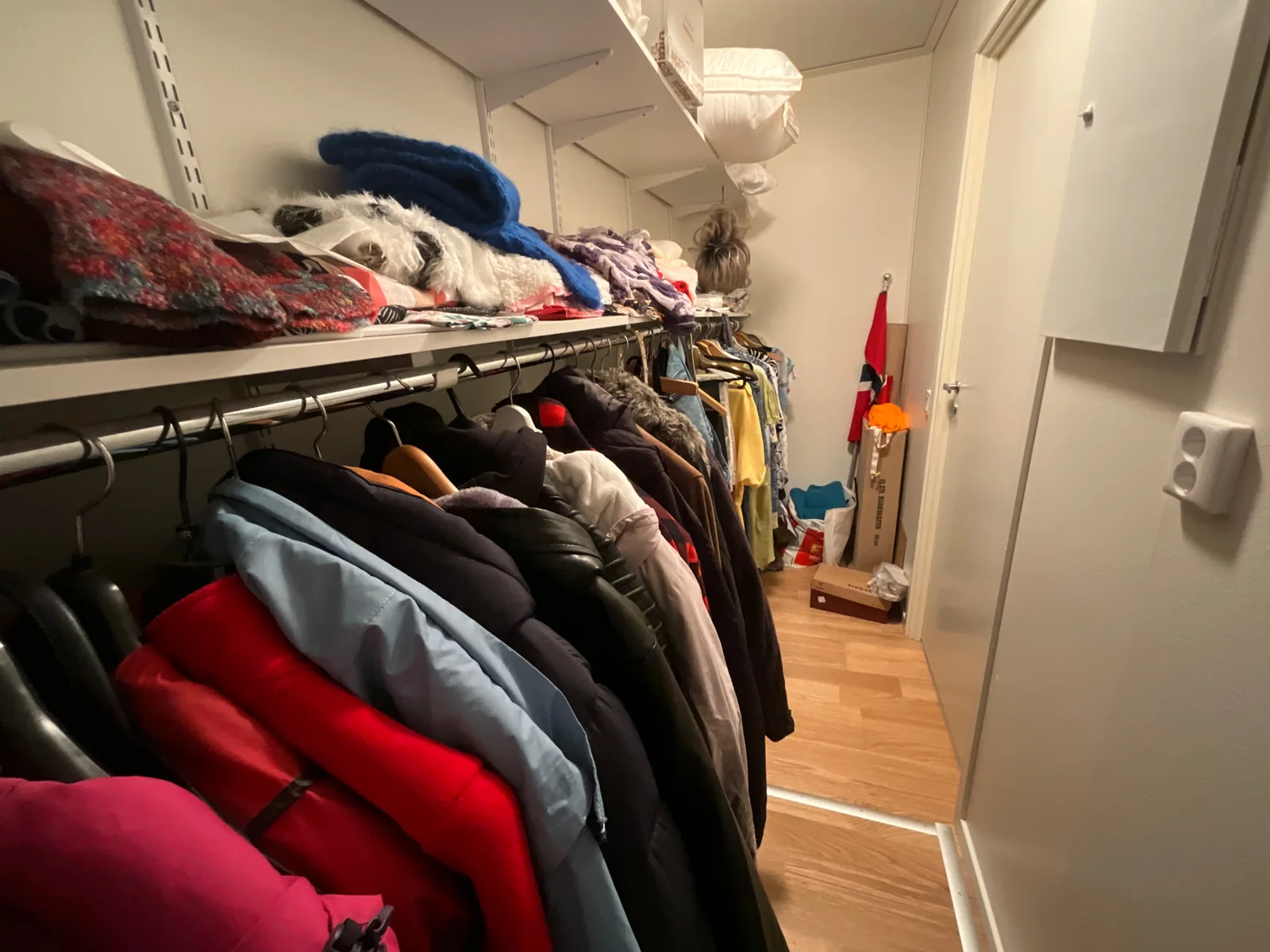 Photo 26